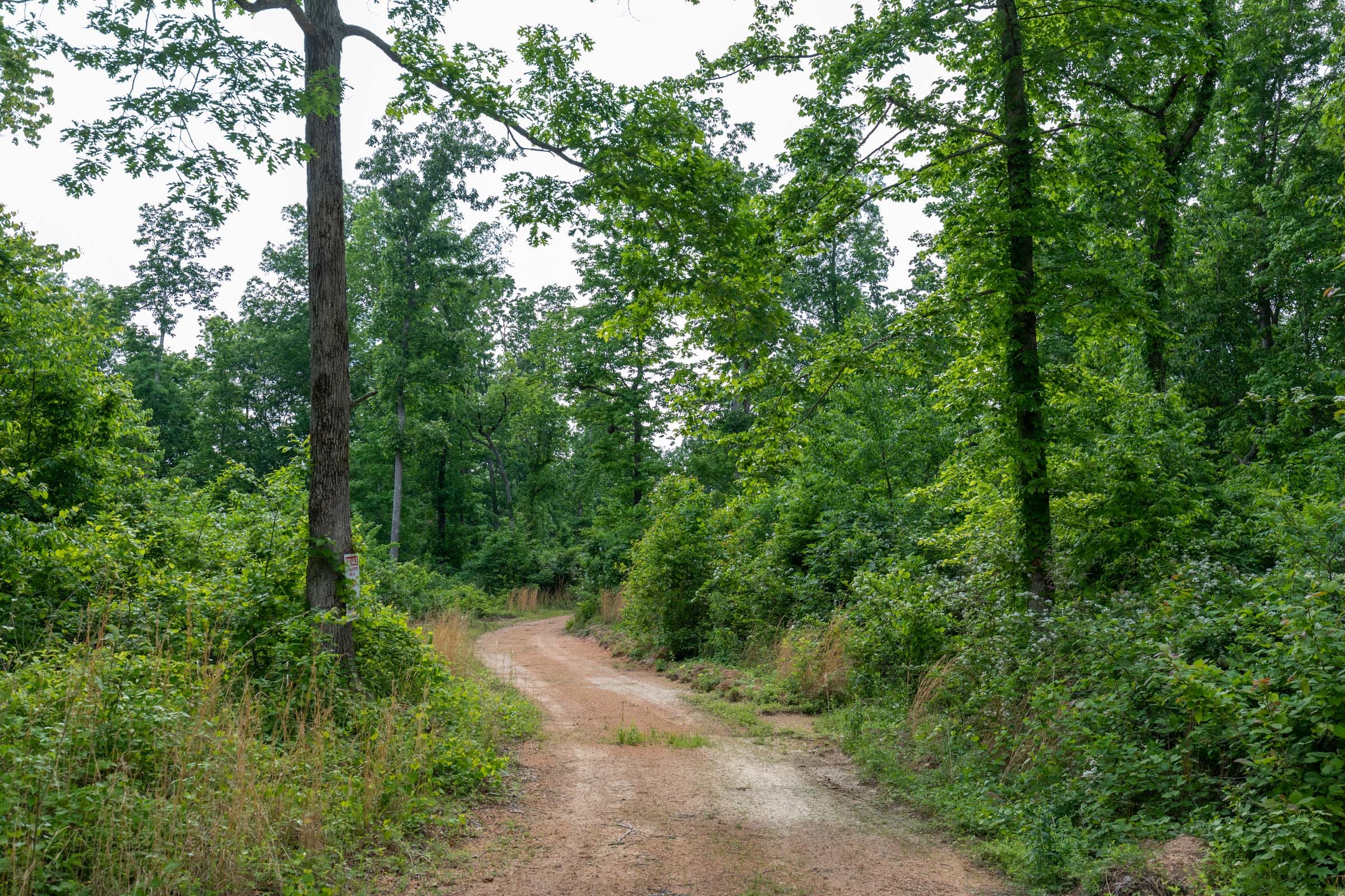 Cedar Creek Tract 49 photo 1