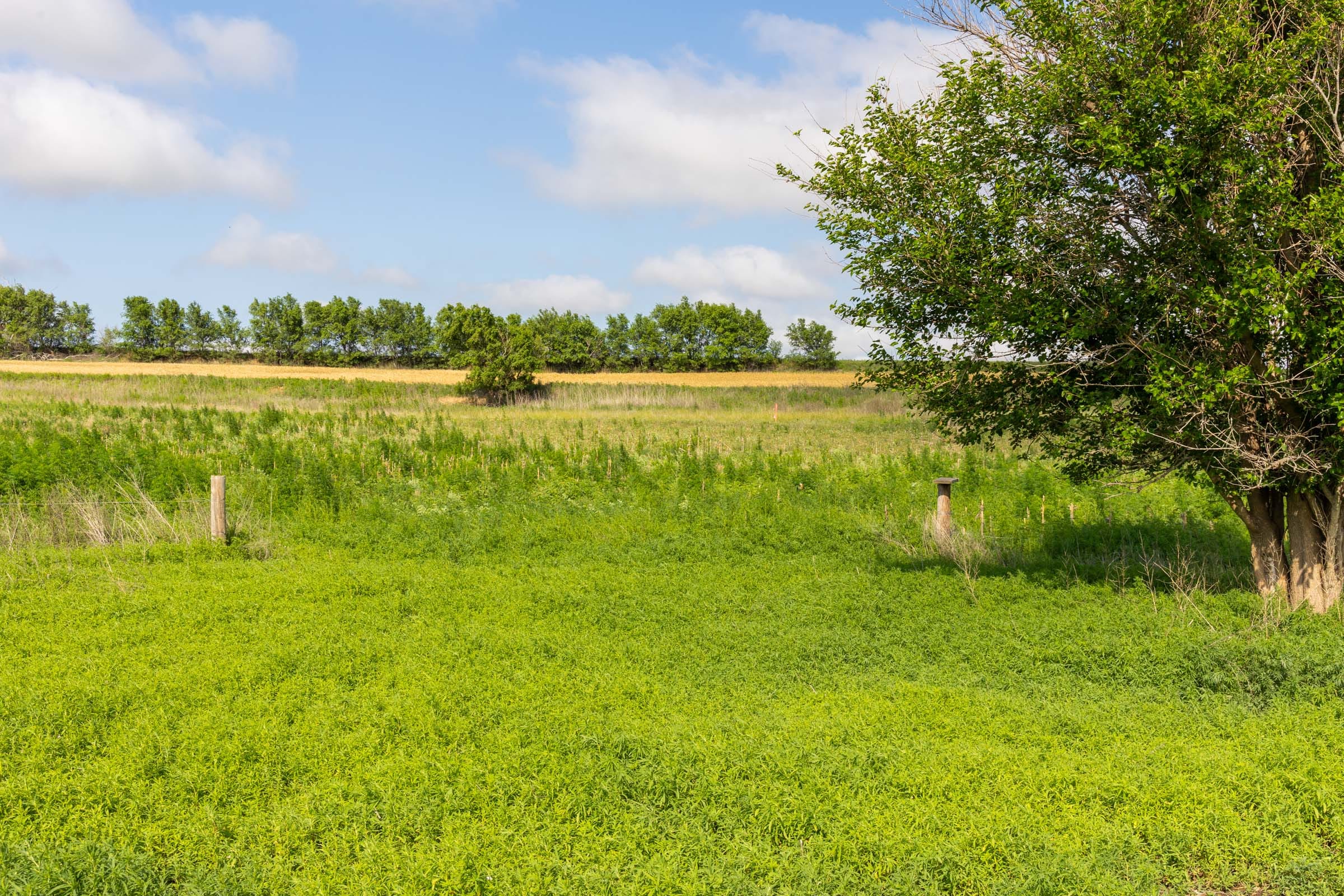 Crandall's Corner Tract 5 photo 6