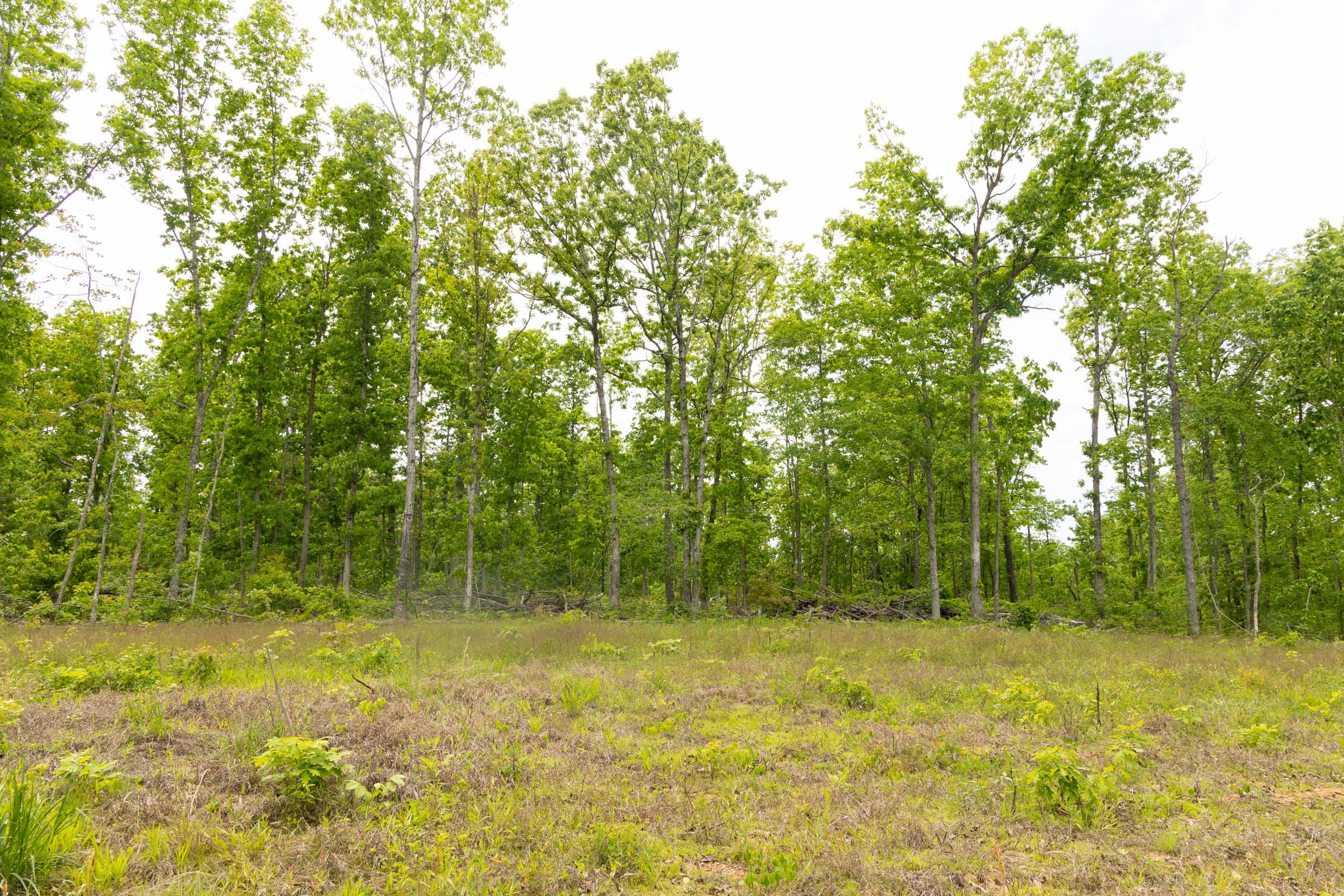 Stardust Estates Tract 10 photo 8