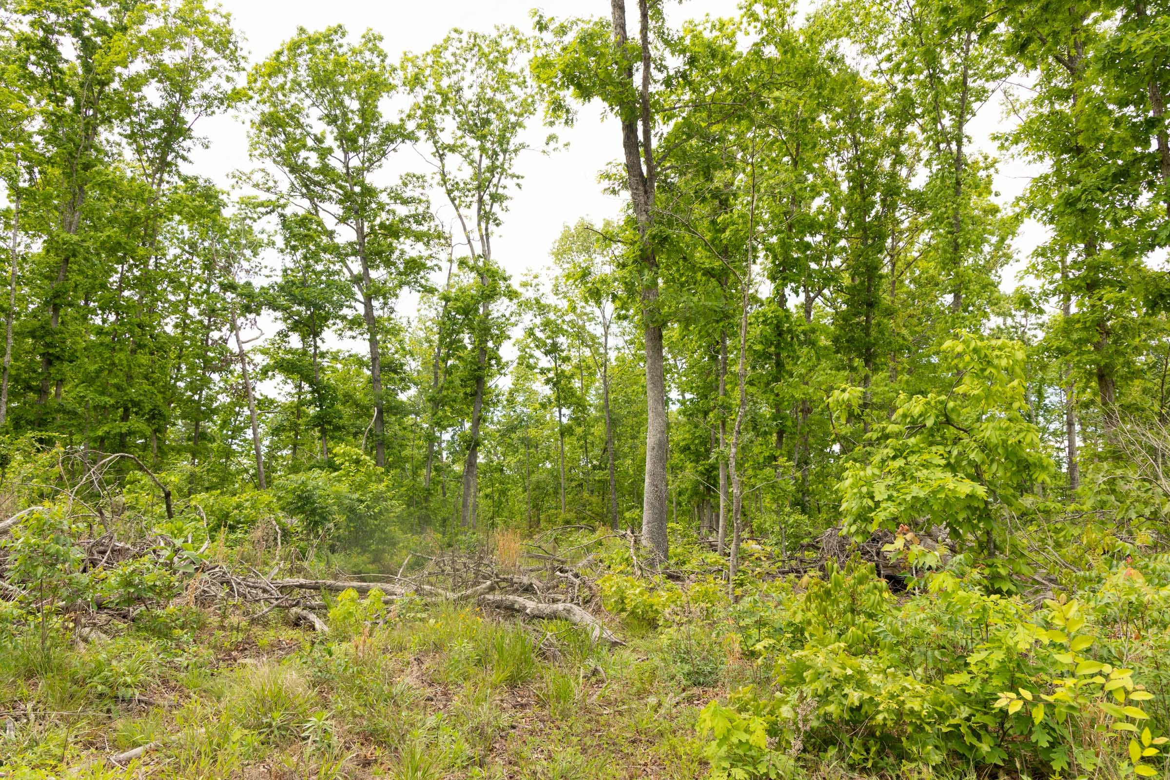Stardust Estates Tract 10 photo 7