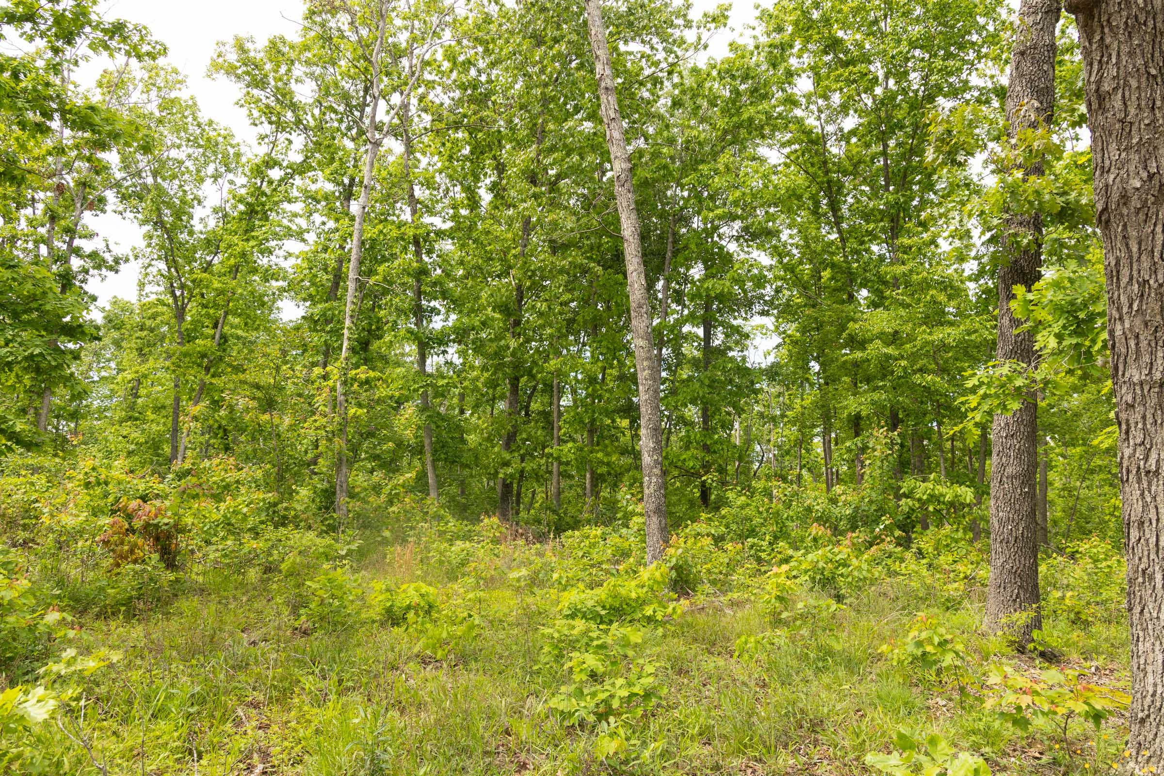 Stardust Estates Tract 10 photo 5