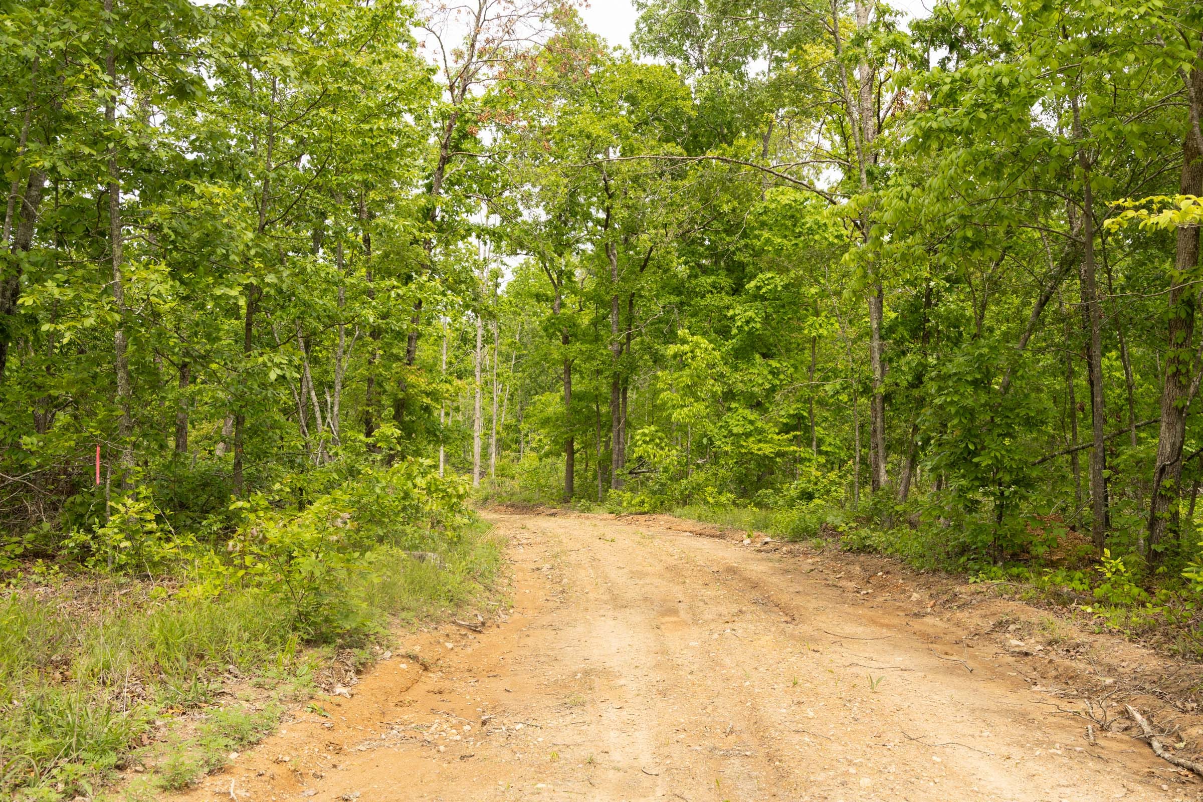 Stardust Estates Tract 10 photo 6