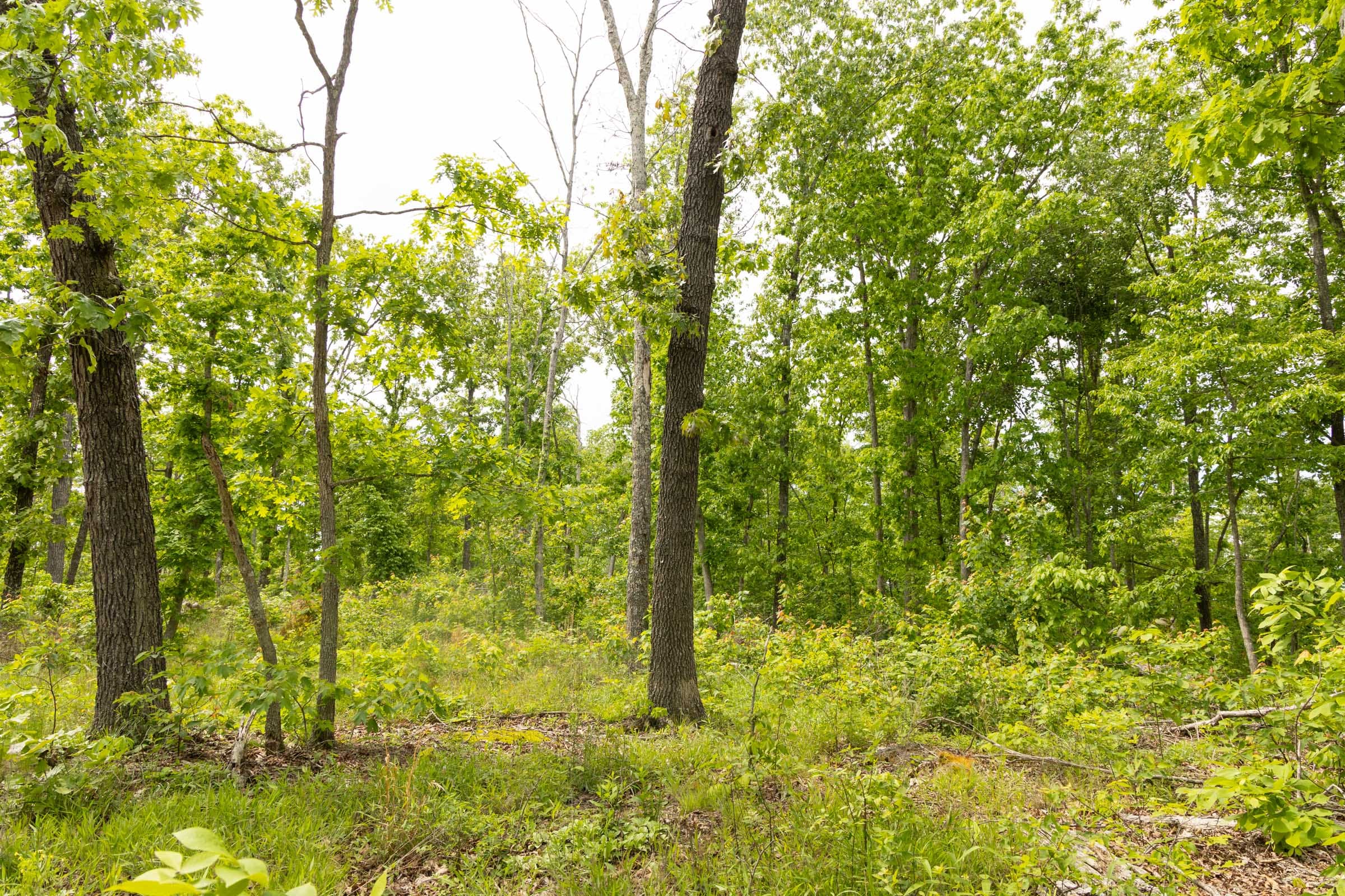 Stardust Estates Tract 10 photo 3