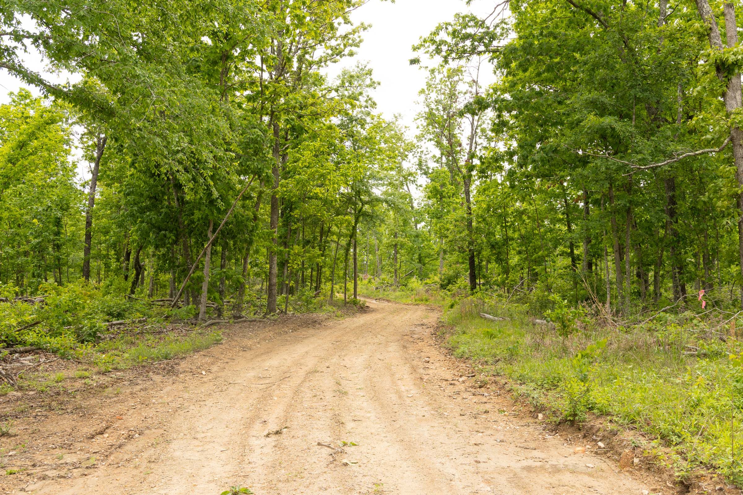 Stardust Estates Tract 10 photo 2