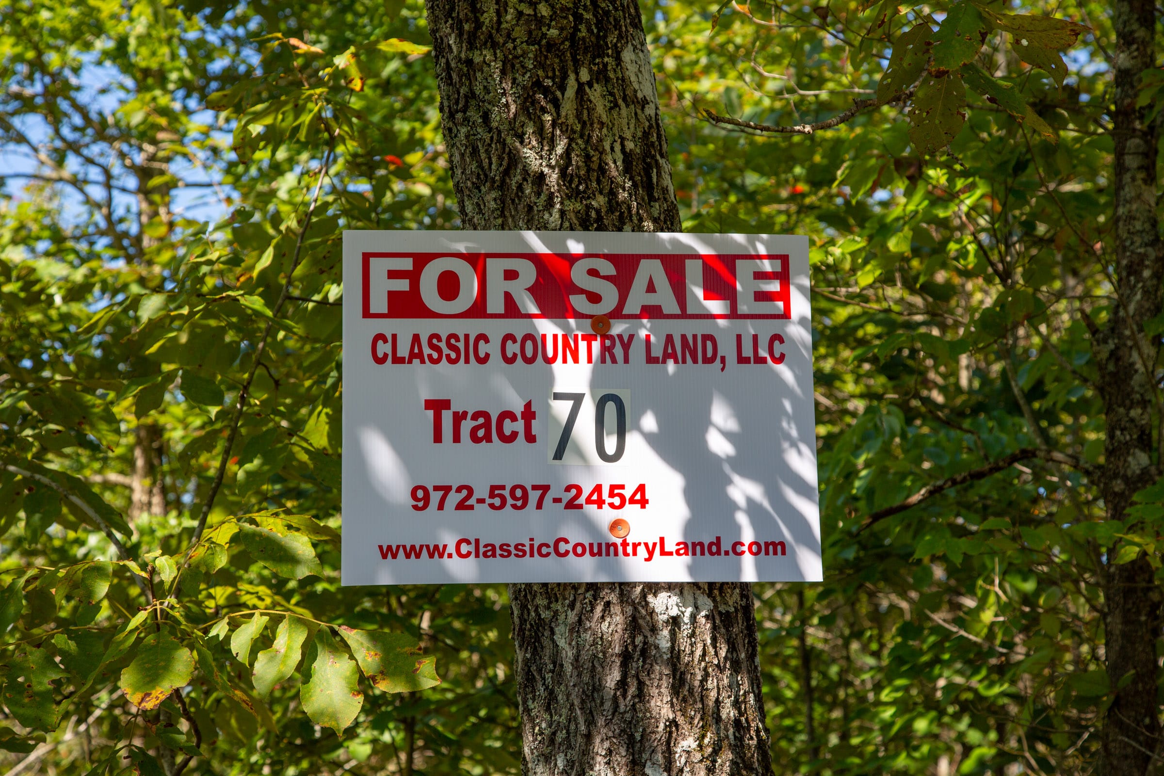 Borgmann’s Hollow Phase II Tract 70 photo 1