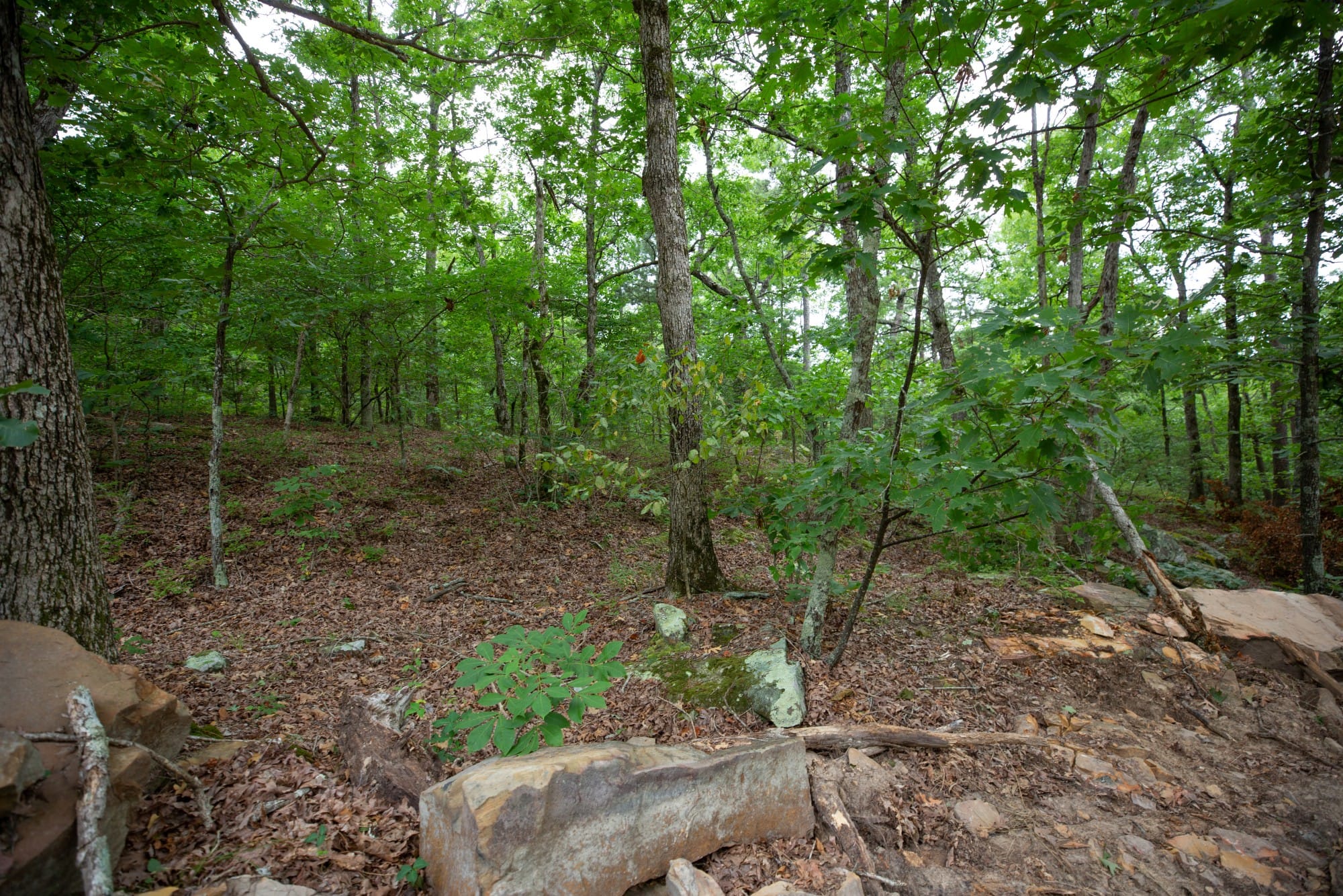 Eagle’s Nest Tract 51 photo 5