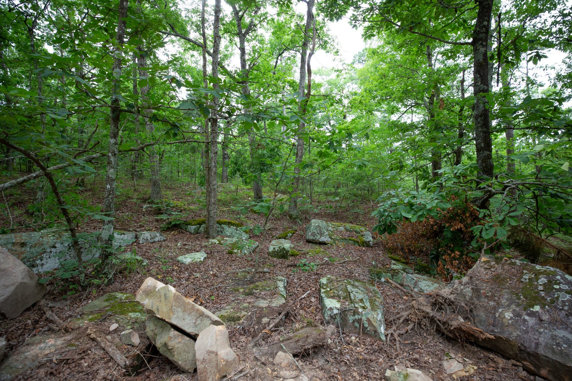 Eagle’s Nest Tract 51 photo 6