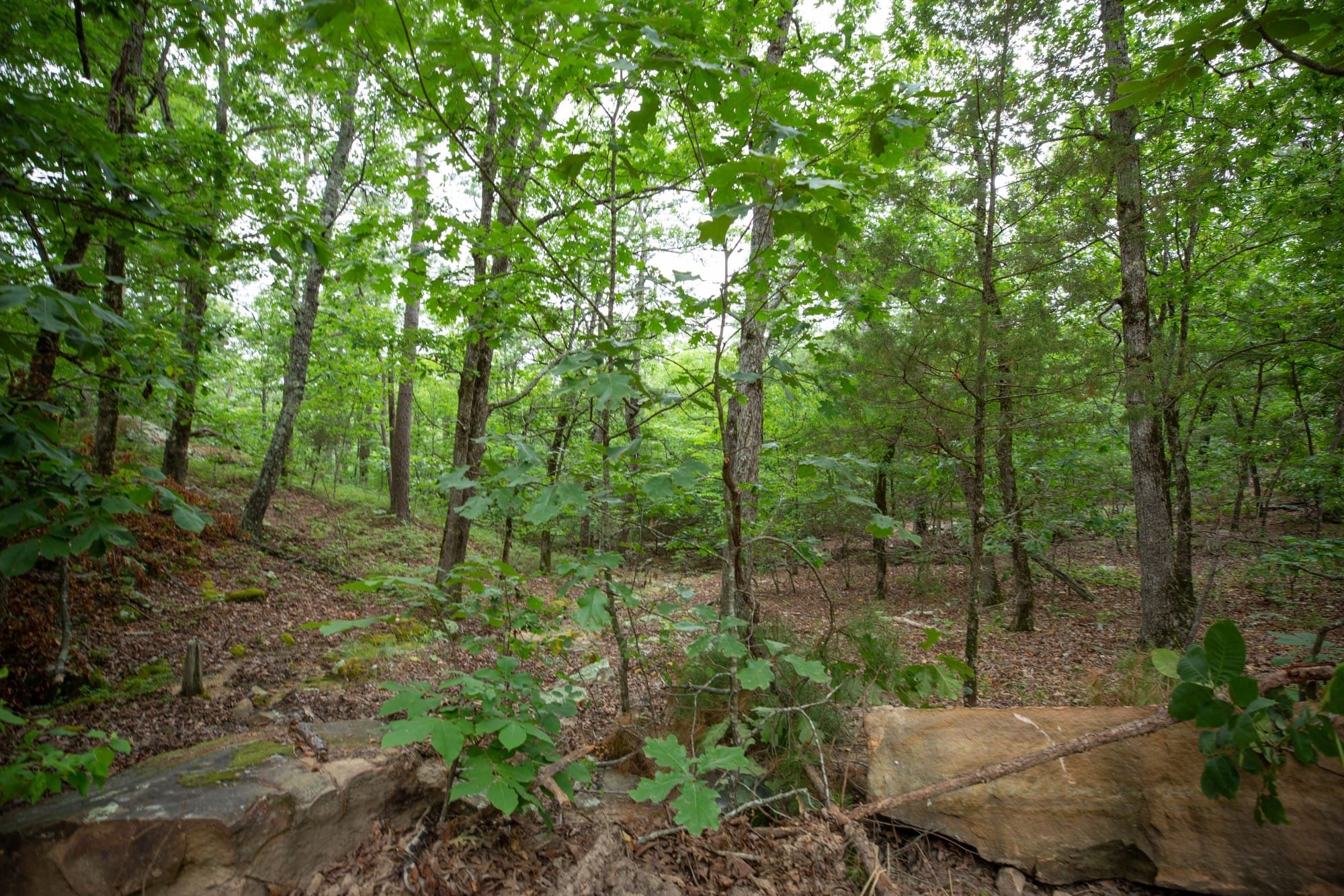 Eagle’s Nest Tract 51 photo 7