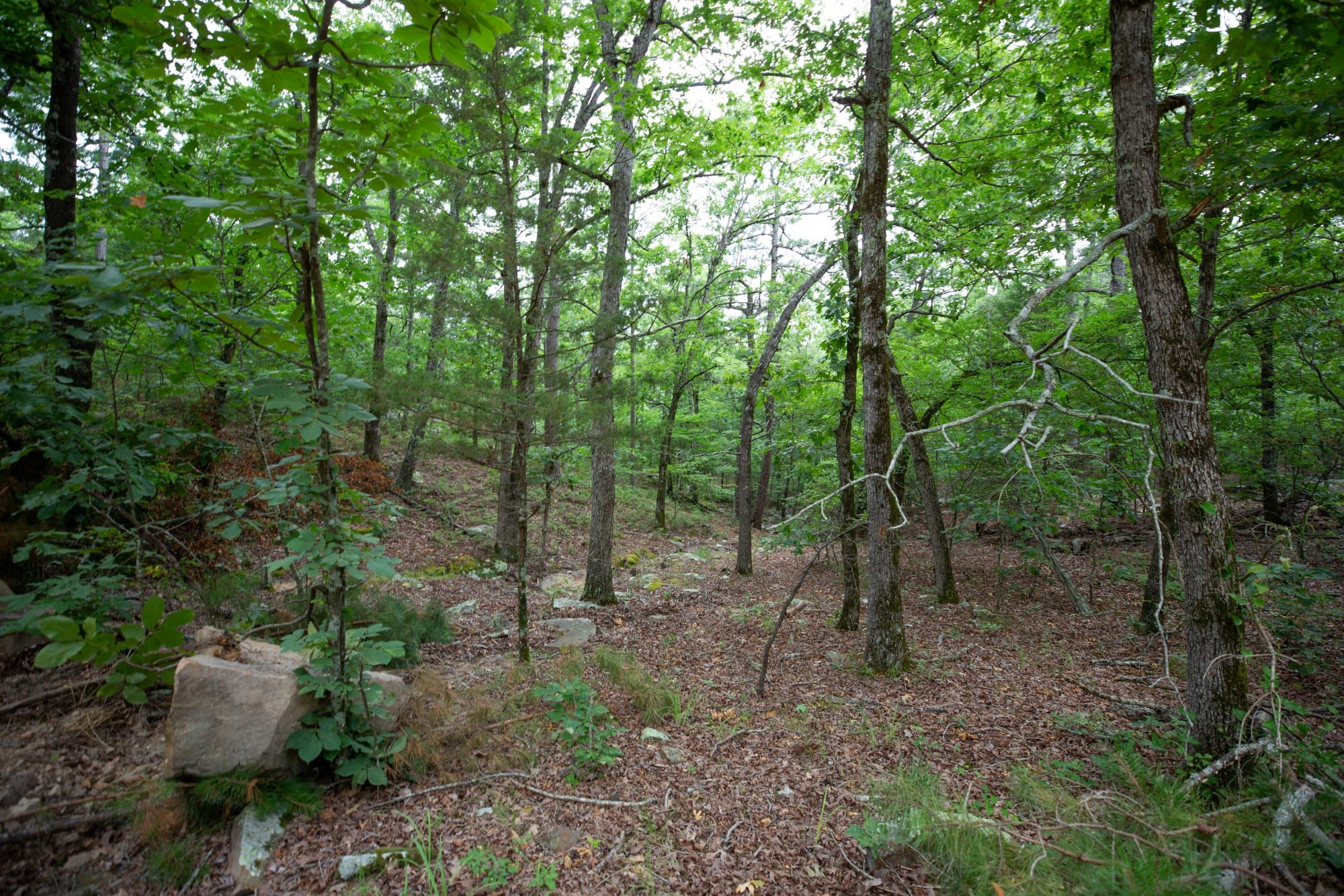 Eagle’s Nest Tract 51 photo 9