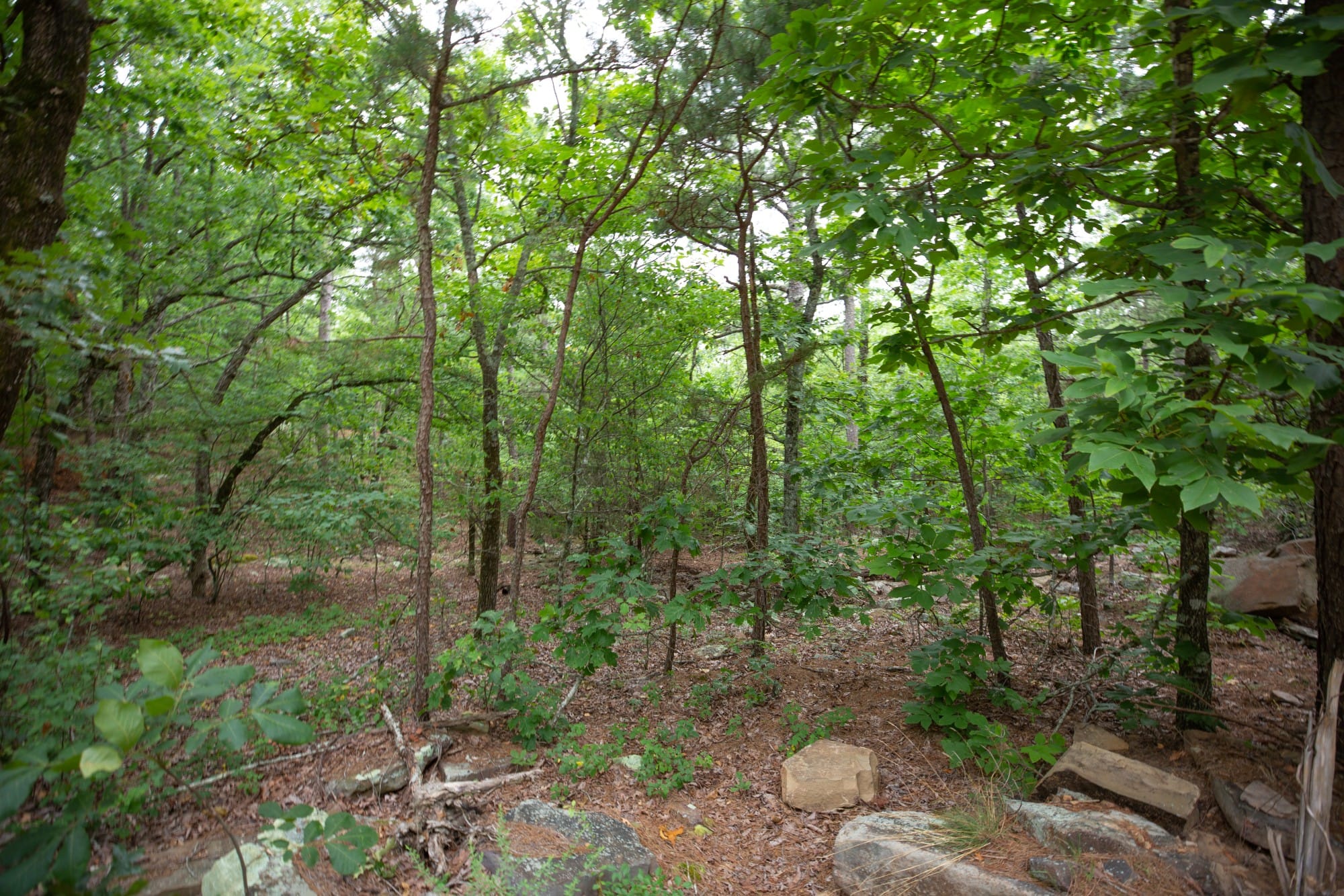 Eagle’s Nest Tract 51 photo 10