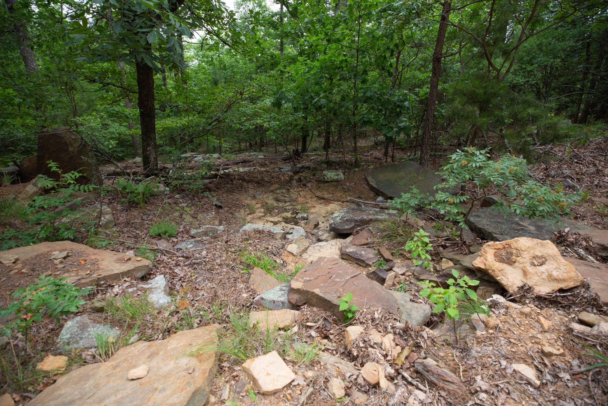 Eagle’s Nest Tract 51 photo 11