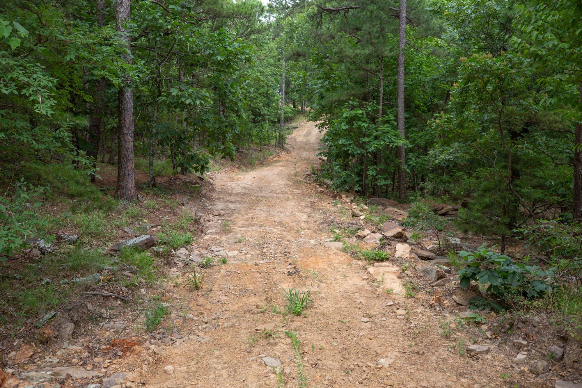 Eagle’s Nest Tract 51 photo 8