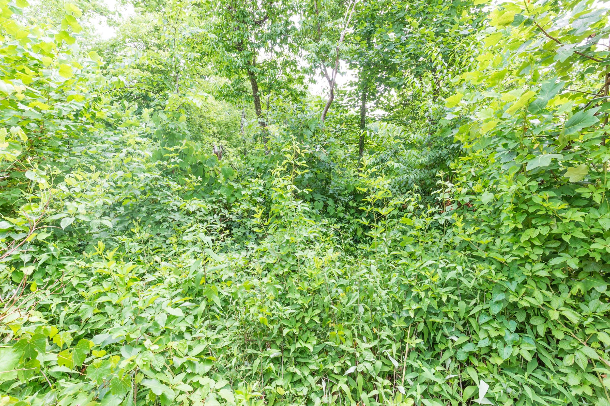 River’s Edge Tract 10 photo 10