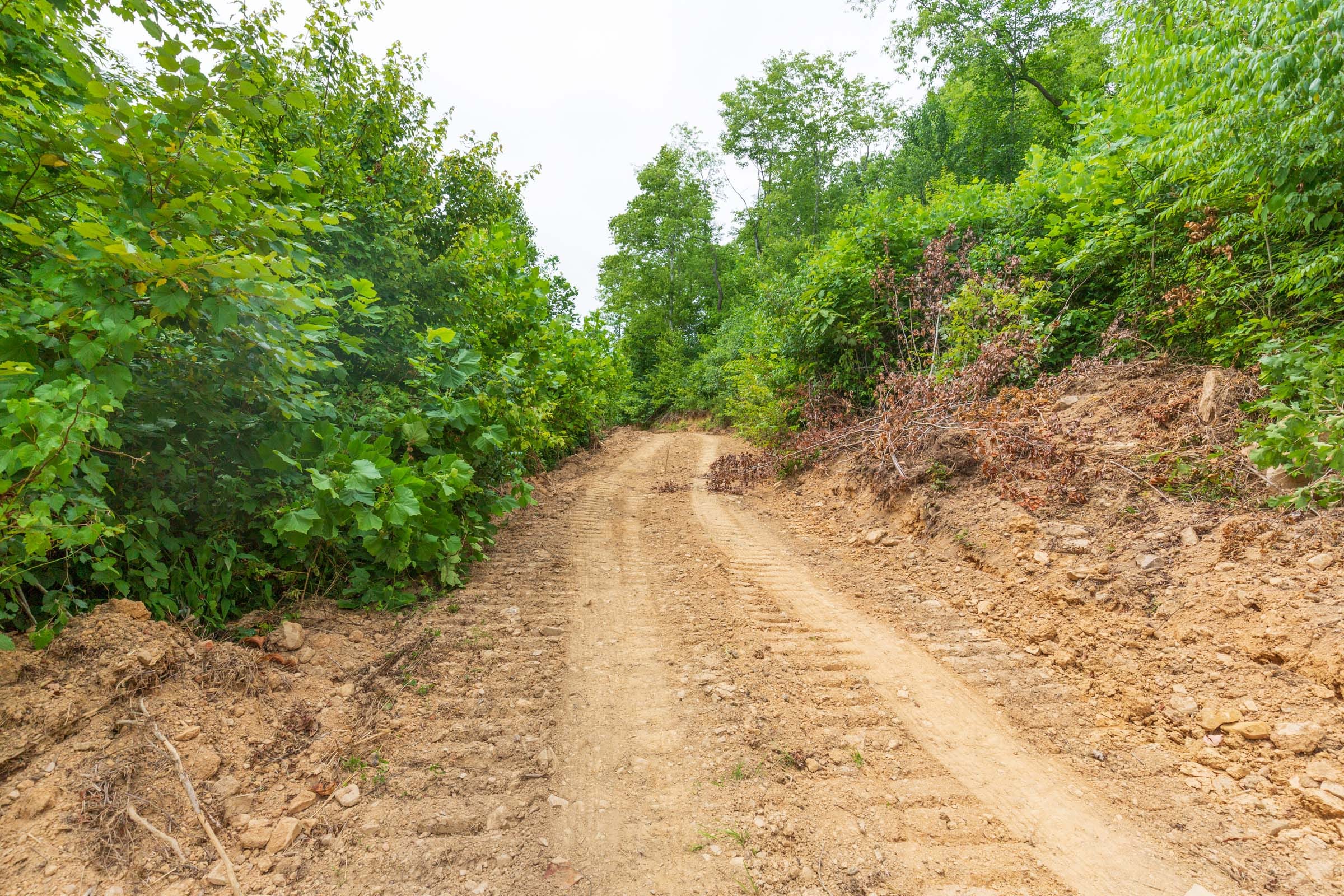 River’s Edge Tract 10 photo 1