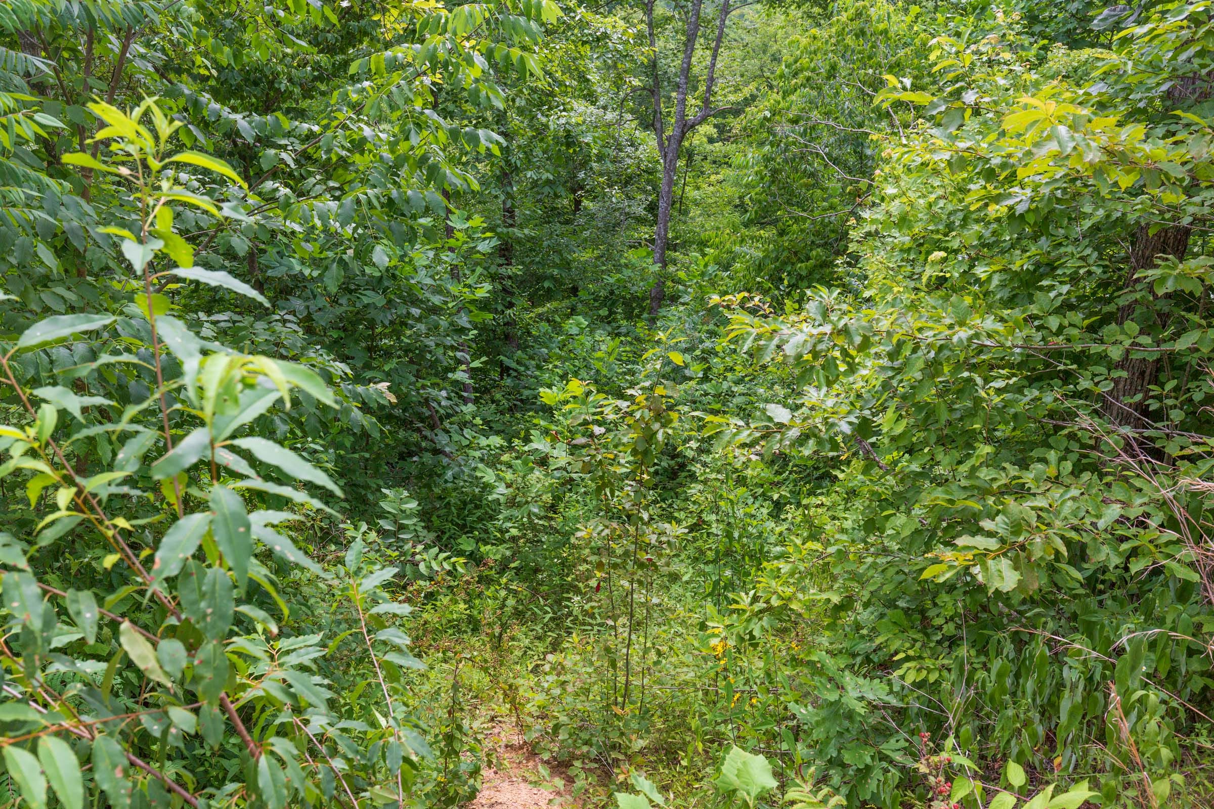 River’s Edge Tract 10 photo 11