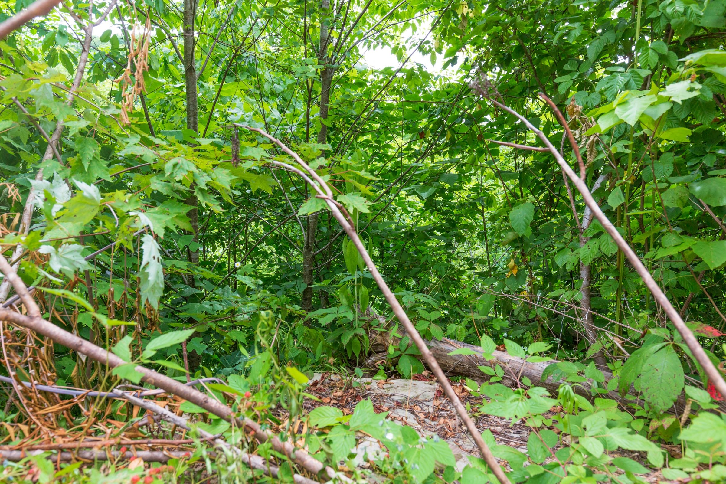 River’s Edge Tract 10 photo 12