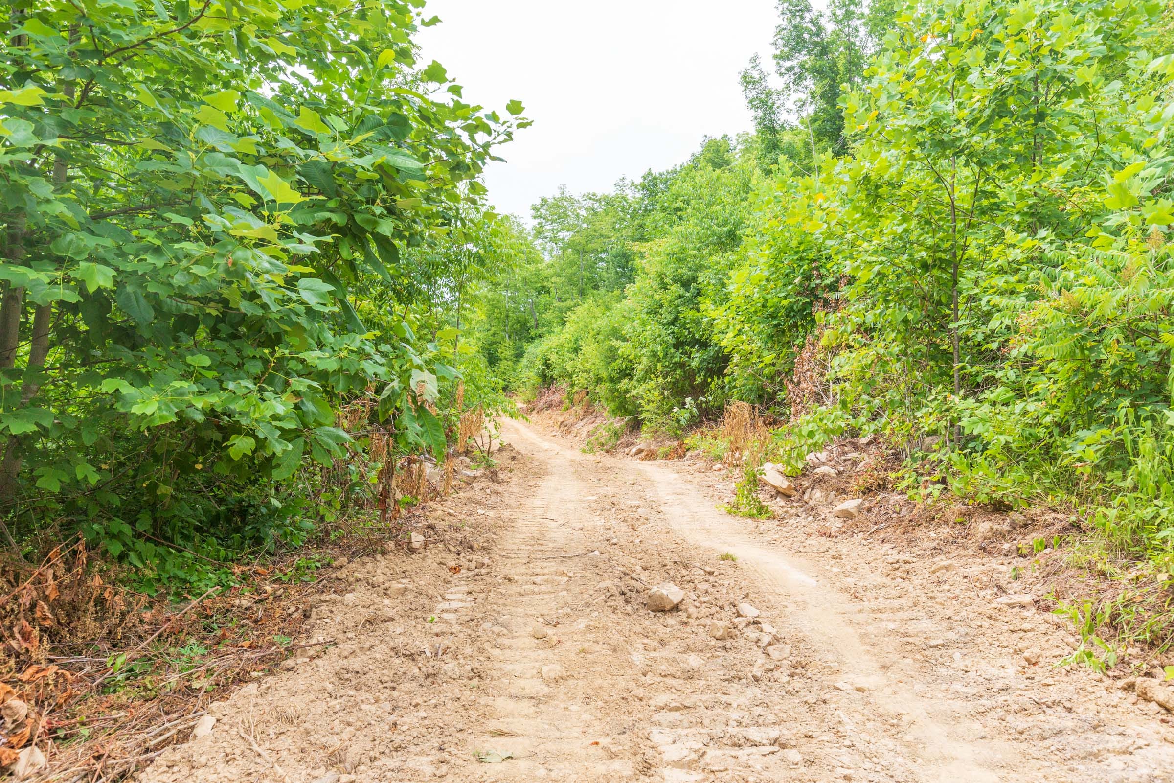River’s Edge Tract 10 photo 8