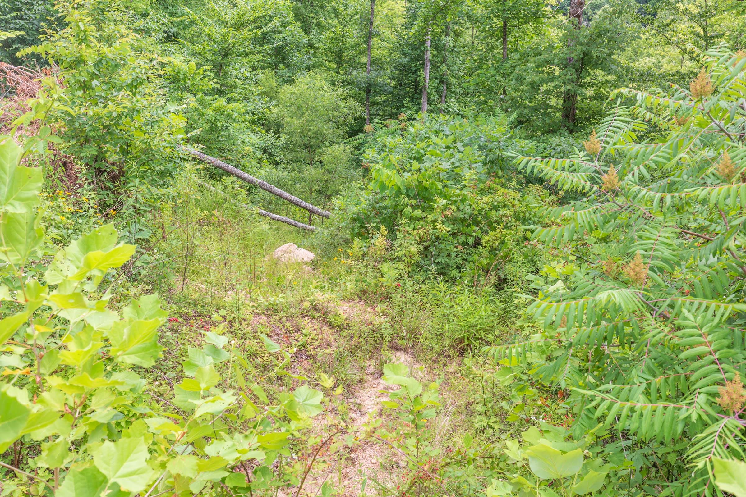 River’s Edge Tract 10 photo 15