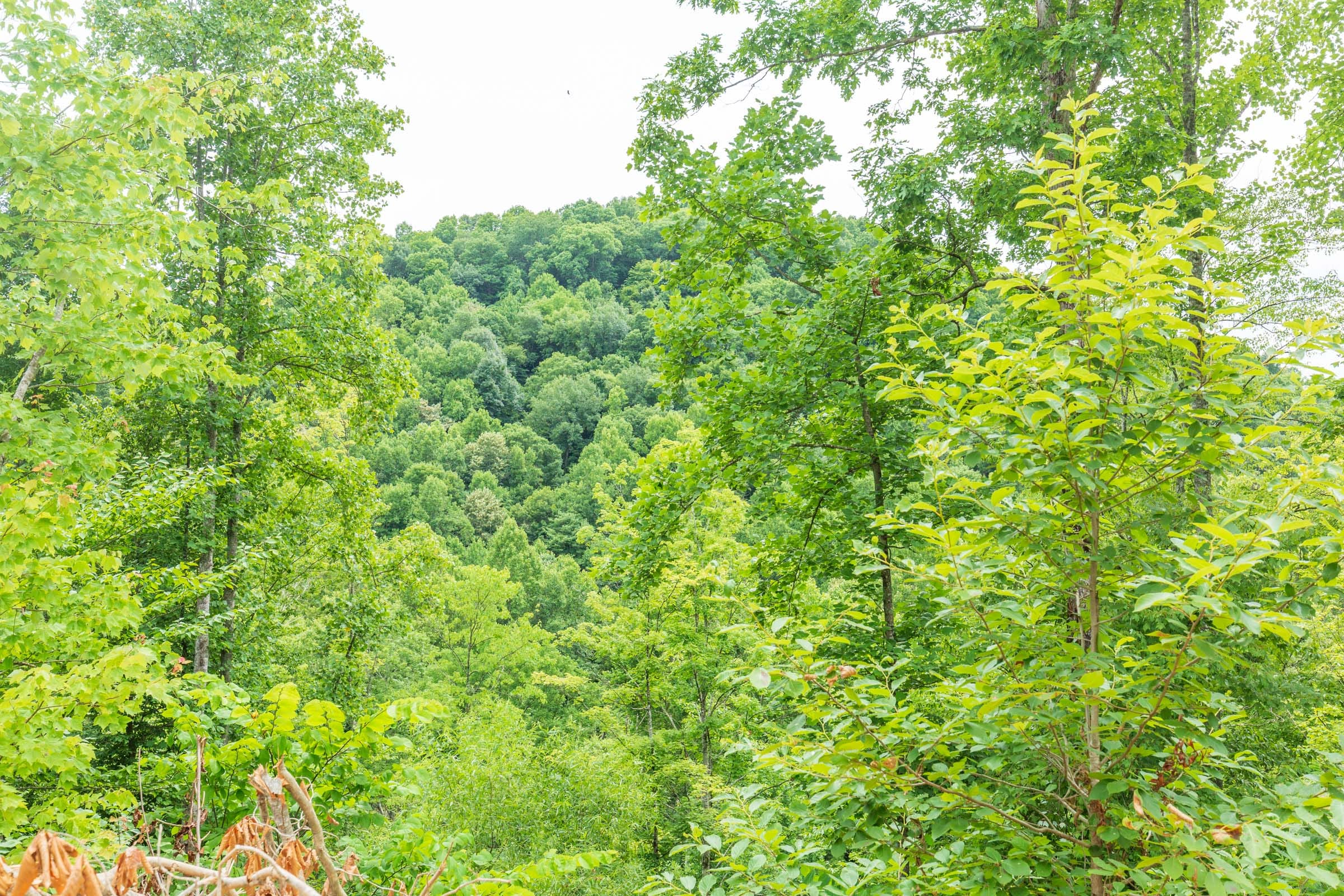 River’s Edge Tract 10 photo 18