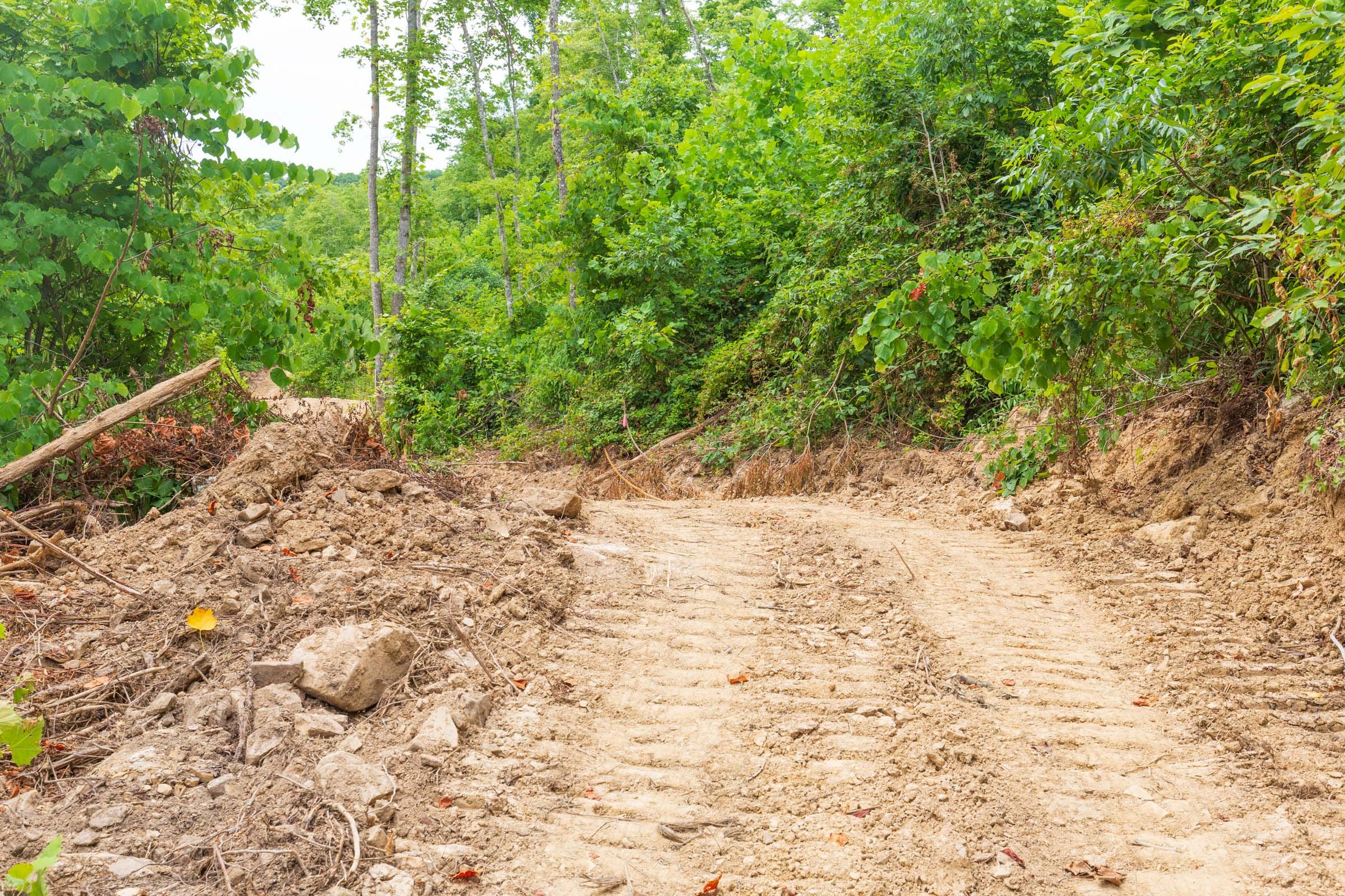 River’s Edge Tract 10 photo 16