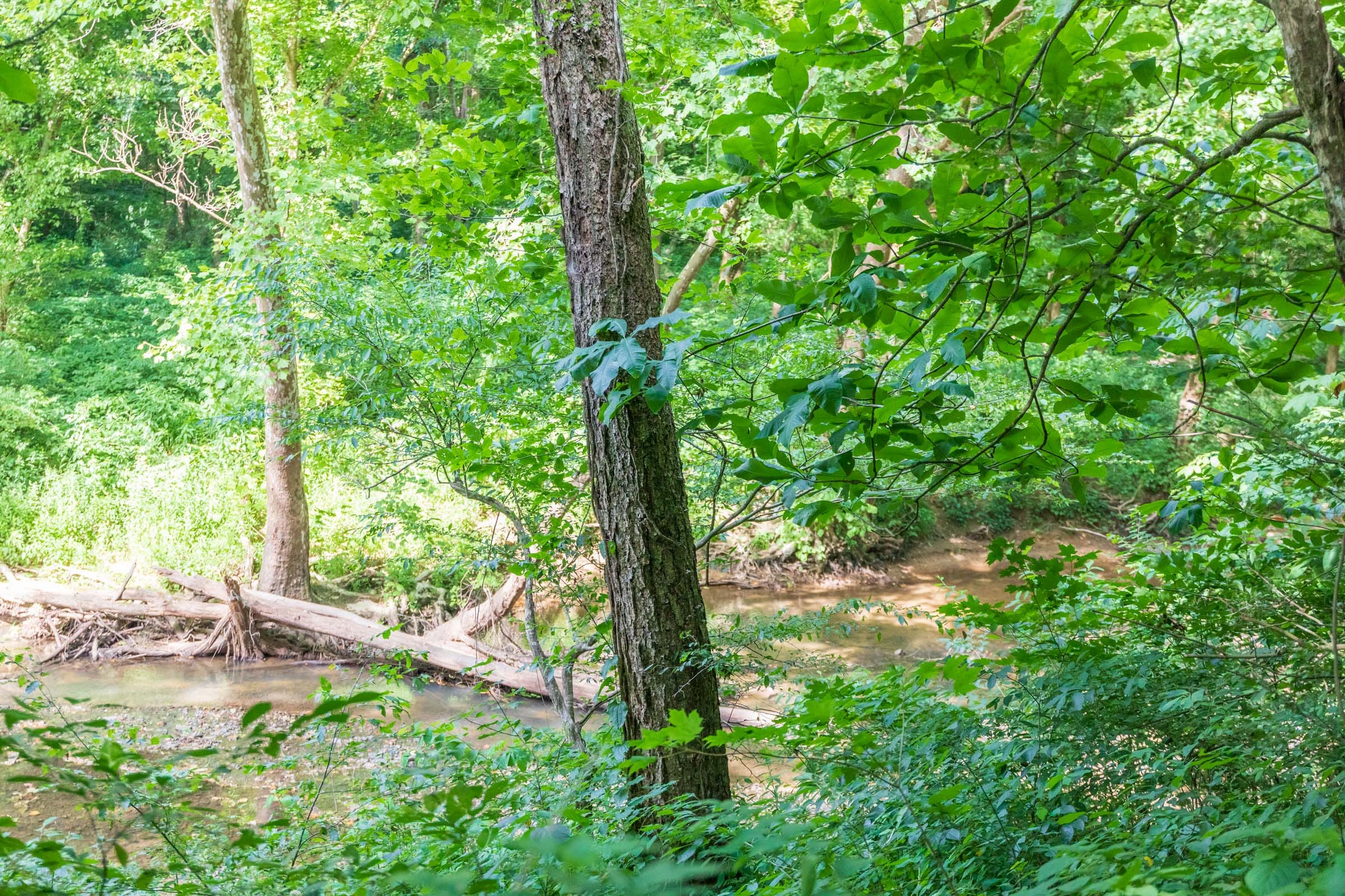 River’s Edge Tract 10 photo 19