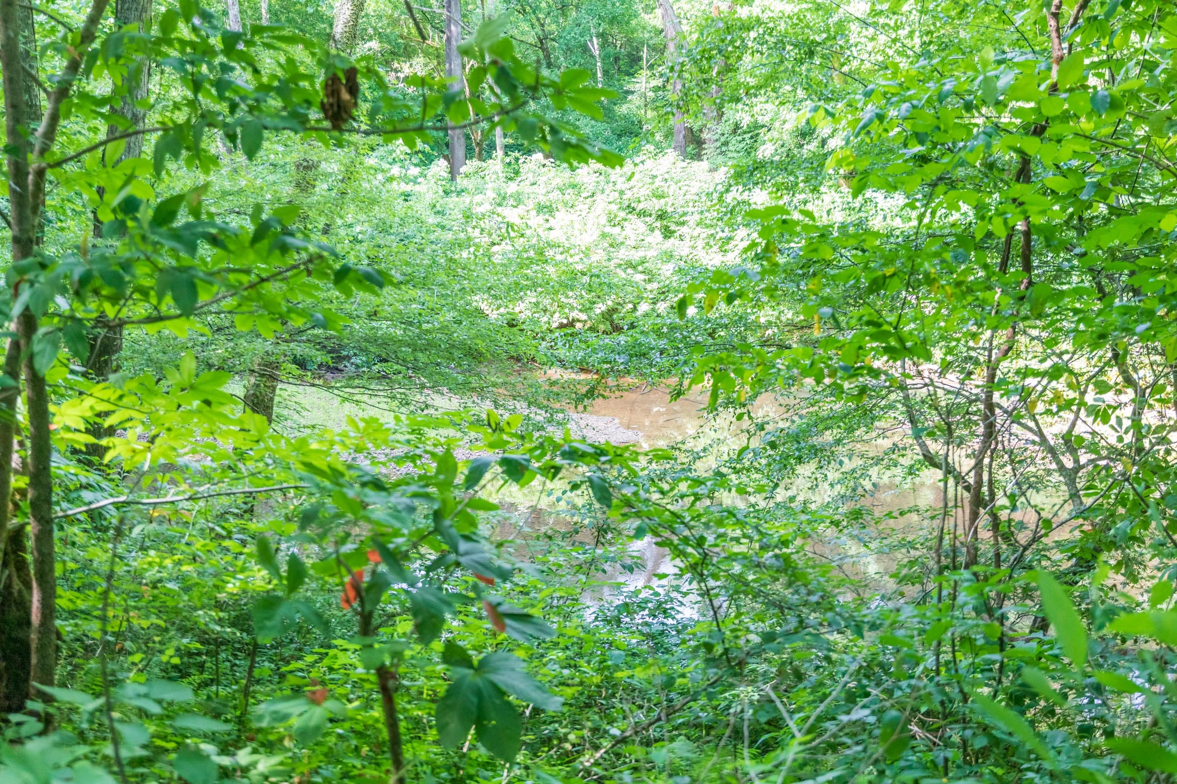 River’s Edge Tract 10 photo 20