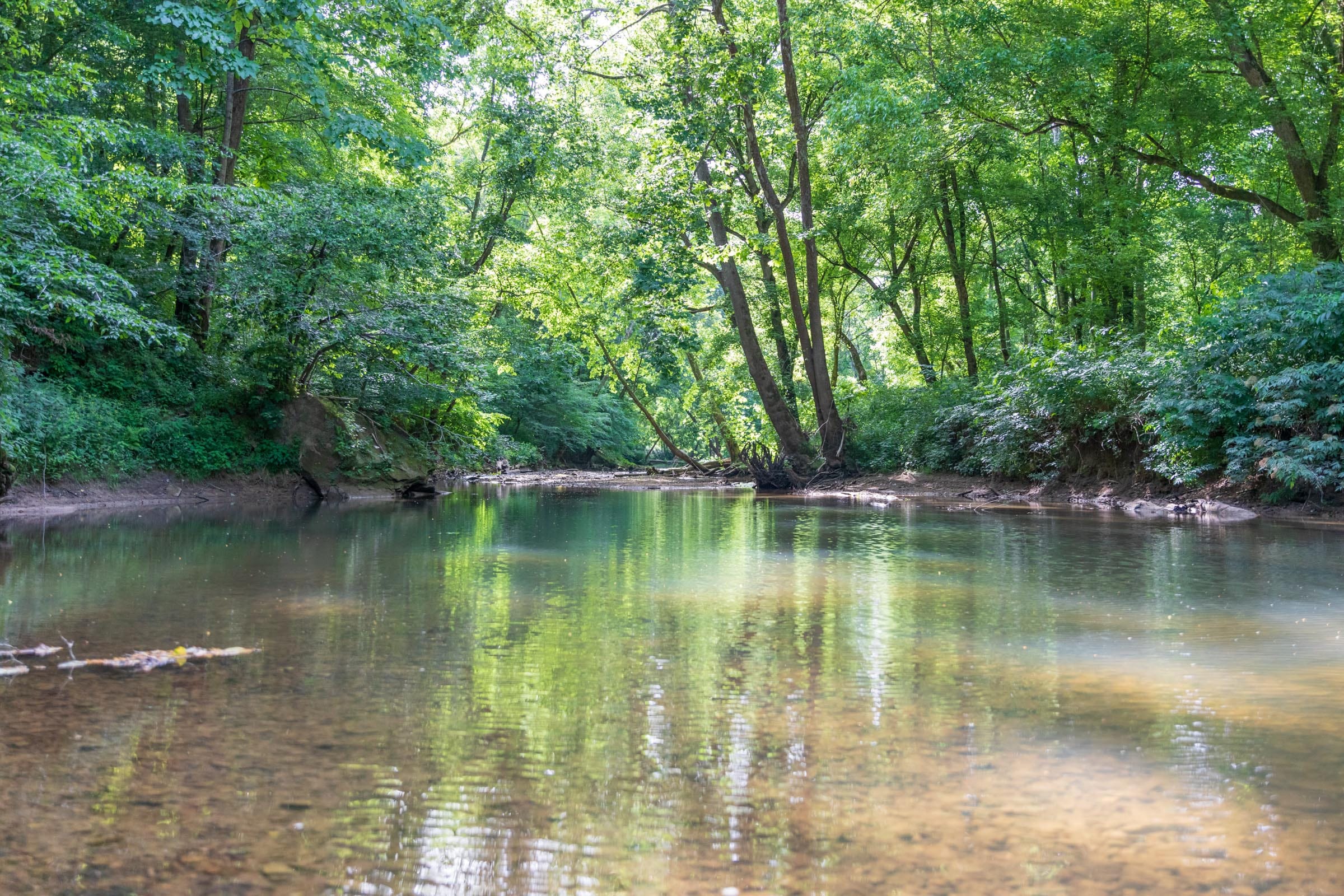 River’s Edge Tract 10 photo 3