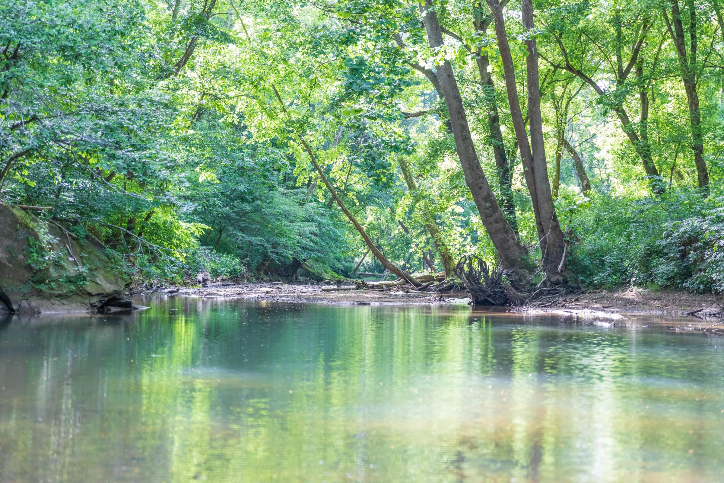 River’s Edge Tract 10 photo 2