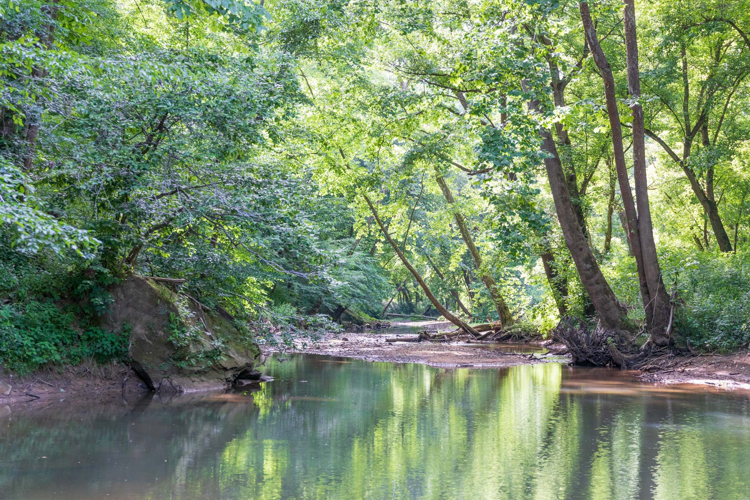 River’s Edge Tract 10 photo 4