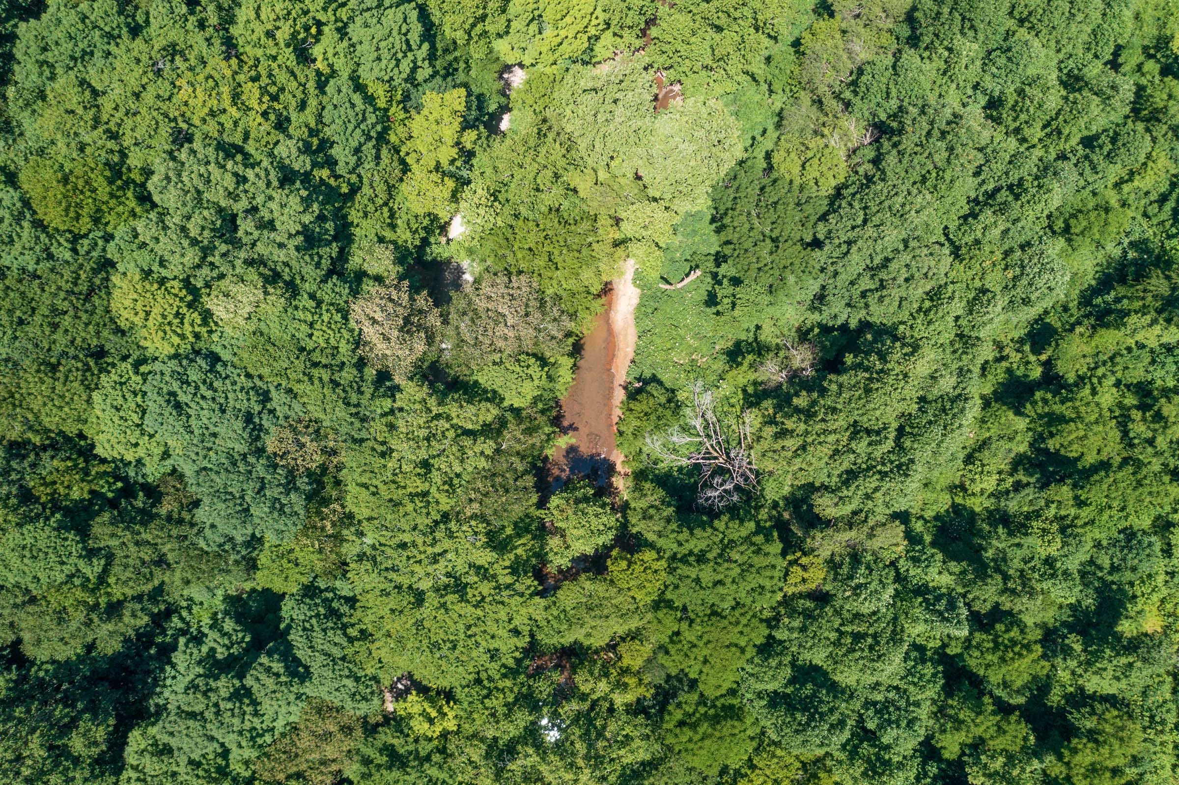 River’s Edge Tract 10 photo 21