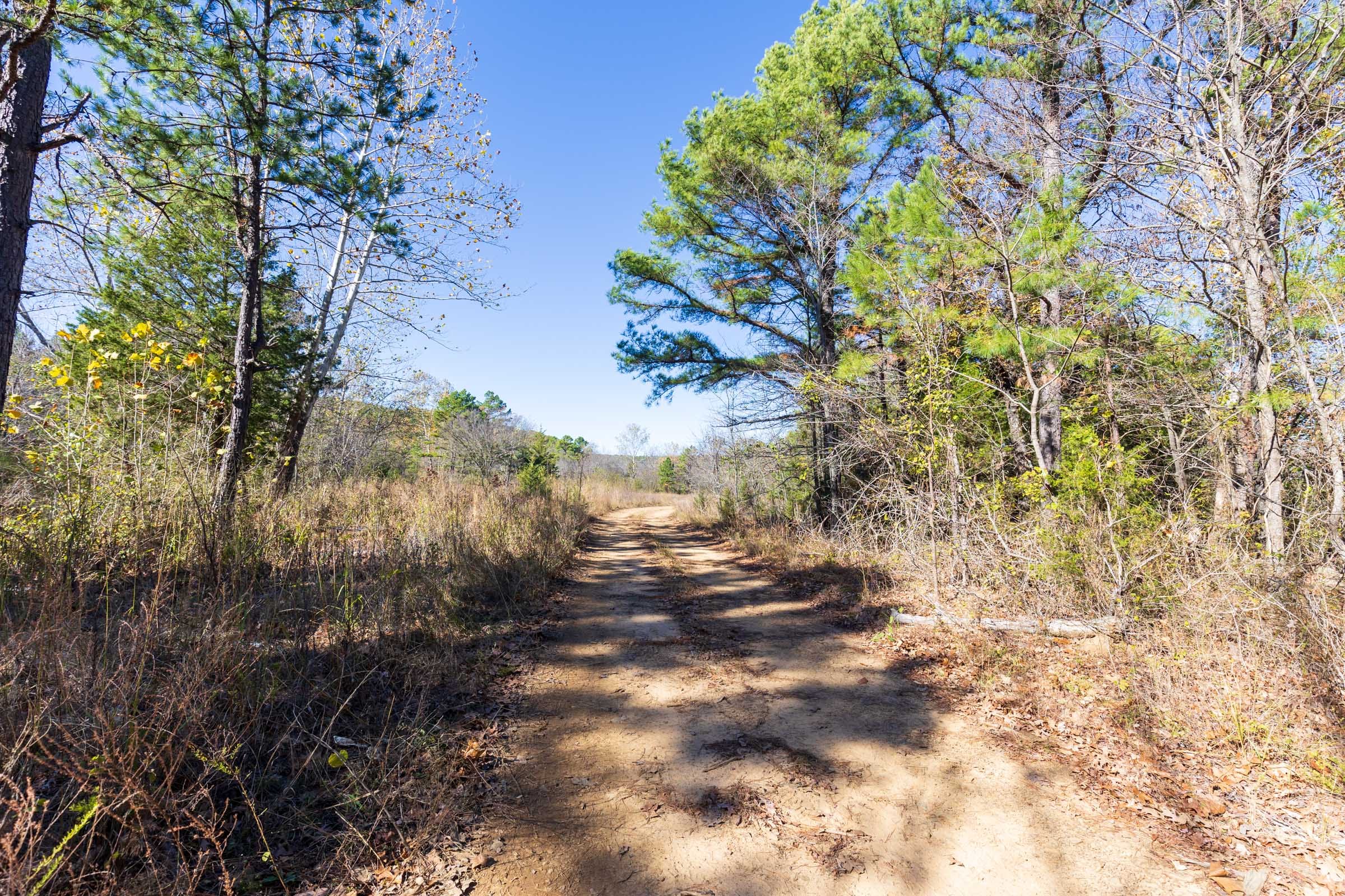Stone Bridge Reserve Tract 20 photo 7