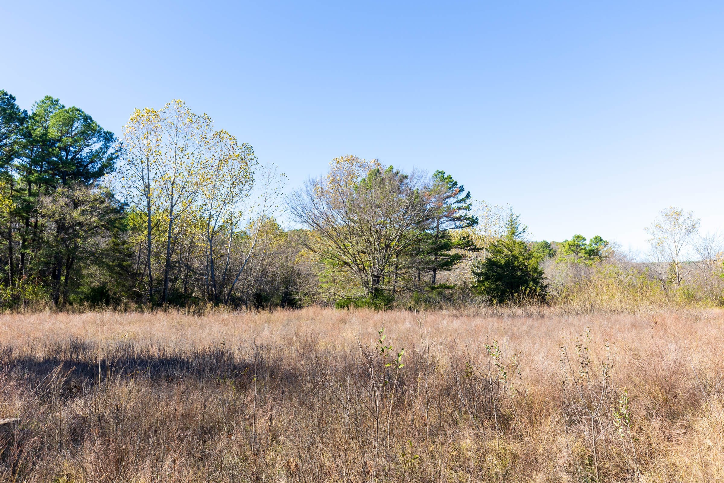 Stone Bridge Reserve Tract 20 photo 6