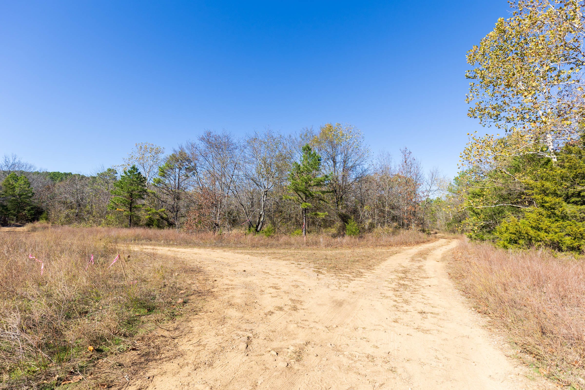 Stone Bridge Reserve Tract 20 photo 5