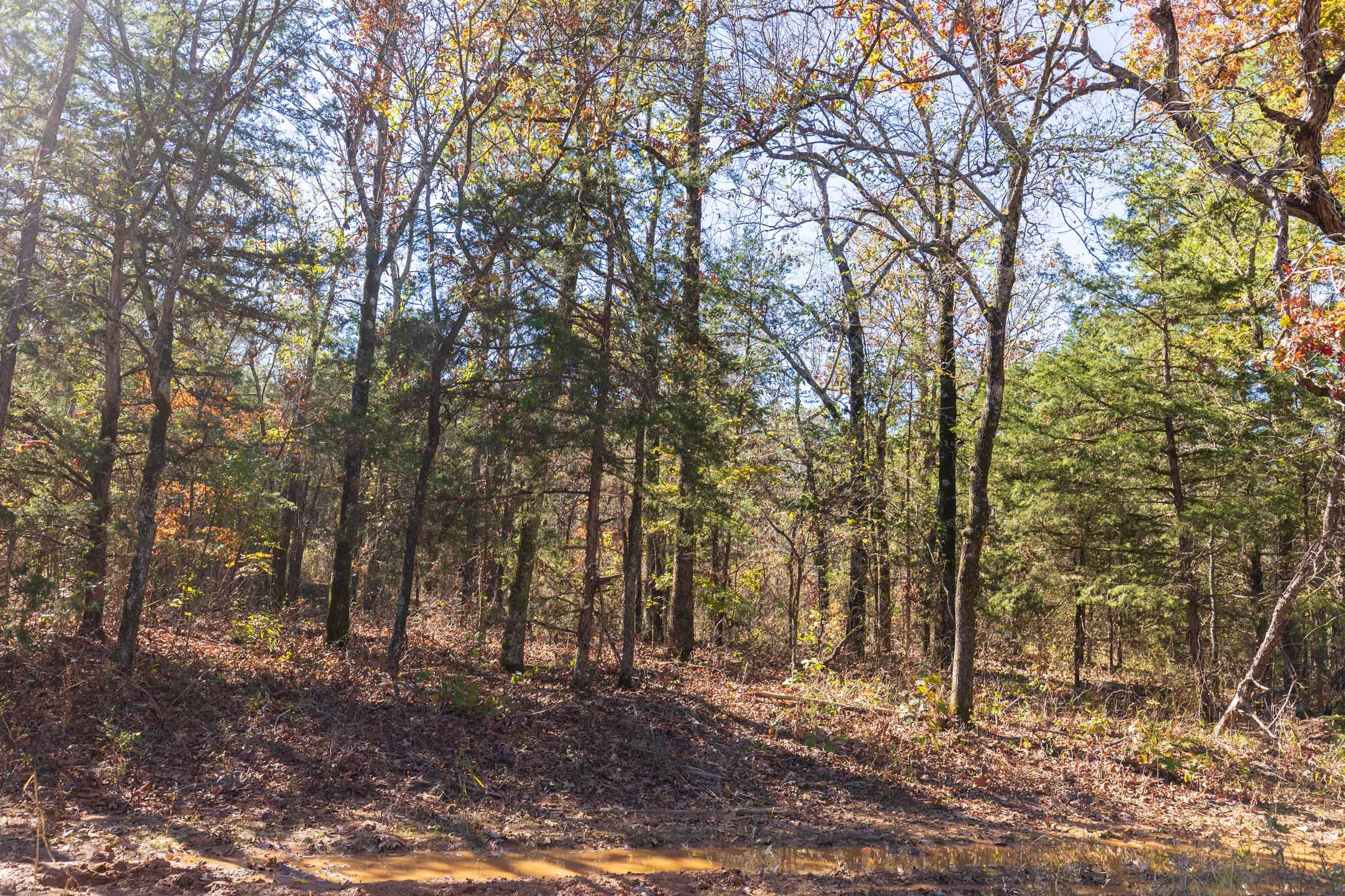 Stone Bridge Reserve Tract 20 photo 4