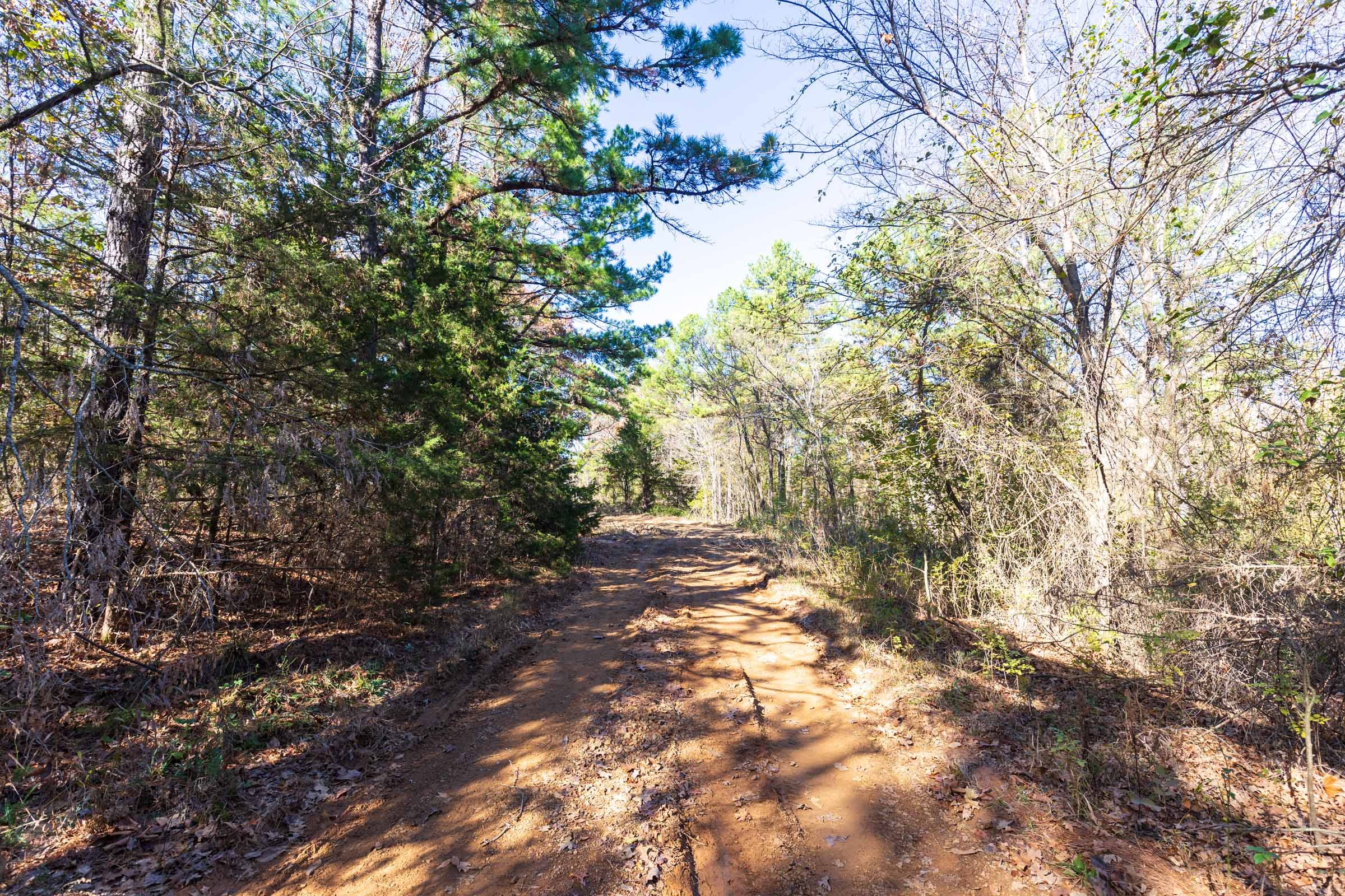 Stone Bridge Reserve Tract 20 photo 3