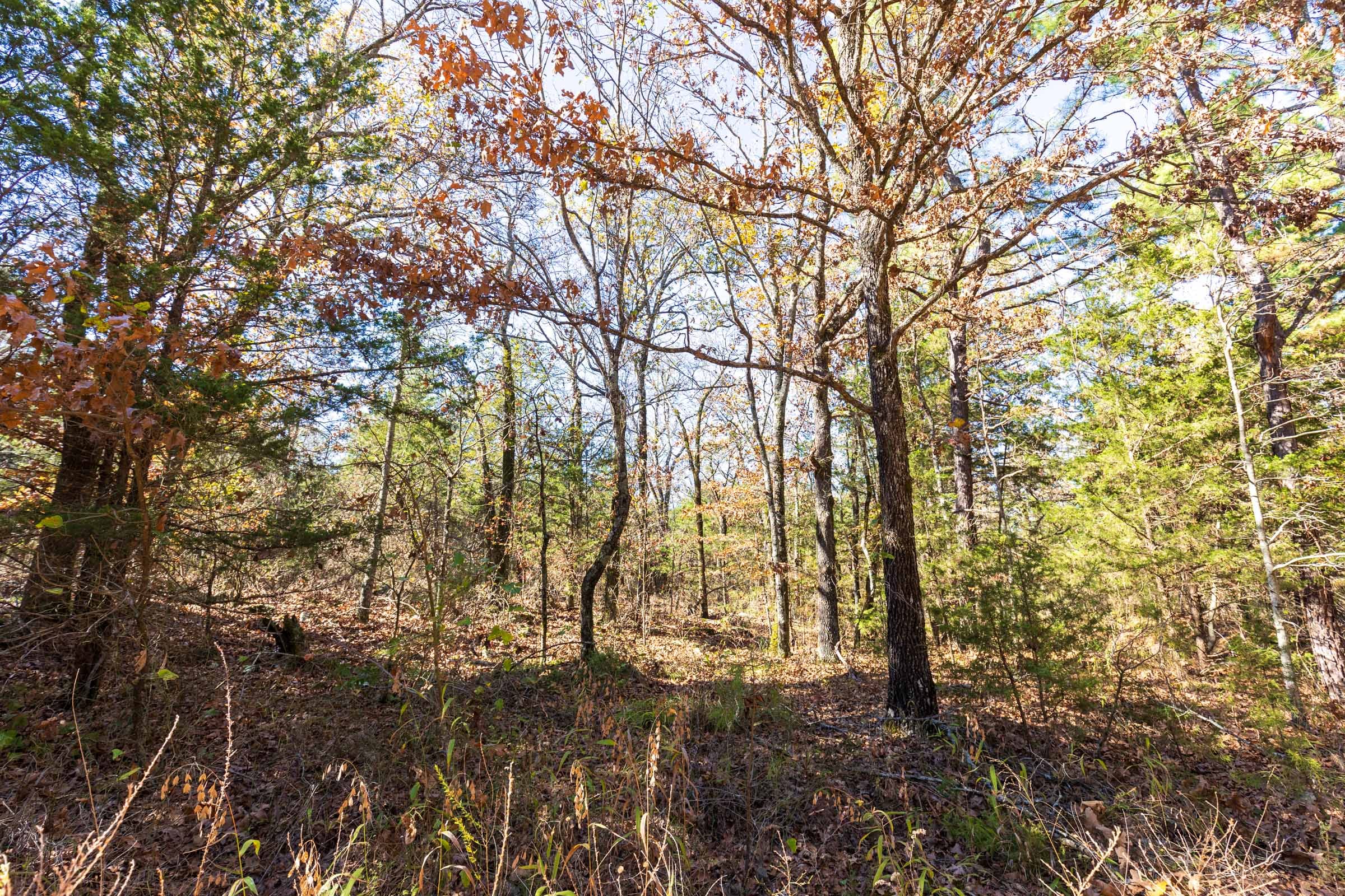 Stone Bridge Reserve Tract 20 photo 2