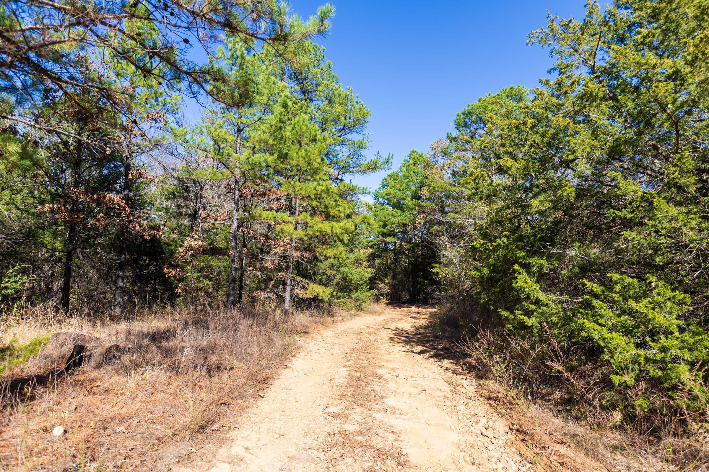 Stone Bridge Reserve Tract 20 photo 1
