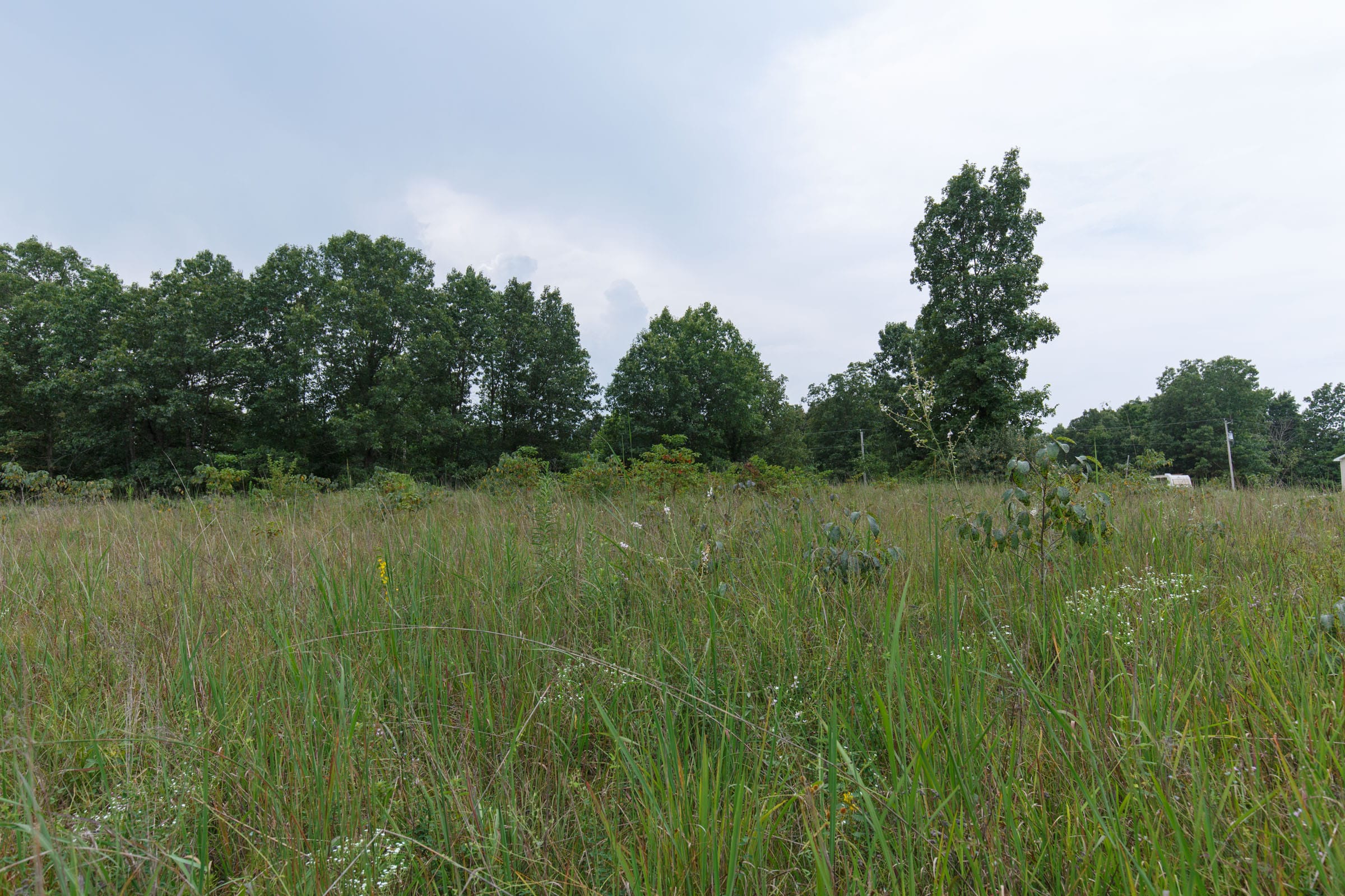 Spring Lake Plat 5 Tract 120 photo 3