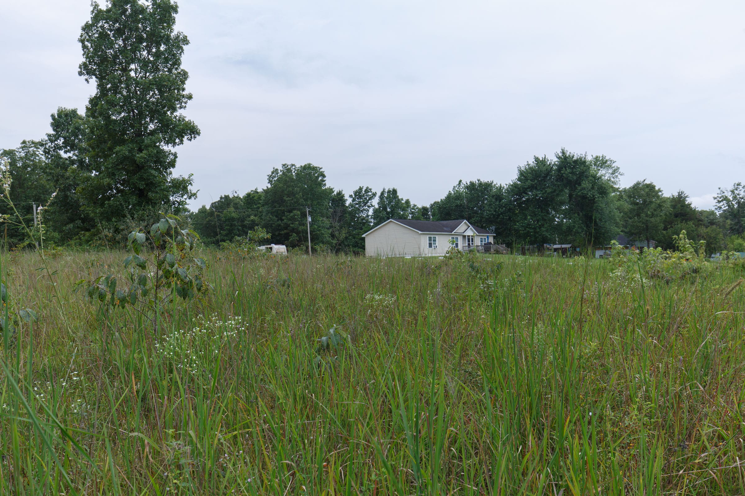 Spring Lake Plat 5 Tract 120 photo 4