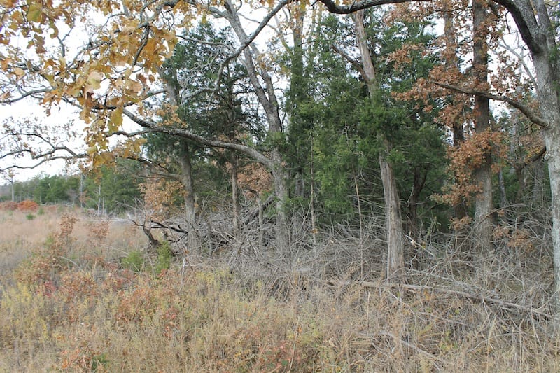 Indian Ridge – Phase I Tract 23 photo 3