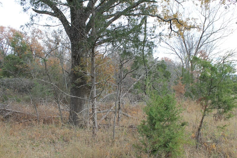 Indian Ridge – Phase I Tract 23 photo 4