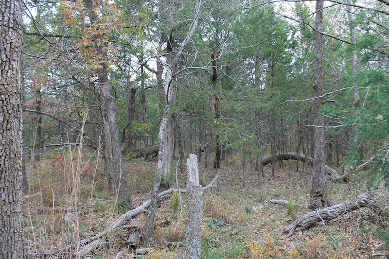 Indian Ridge – Phase I Tract 23 photo 5