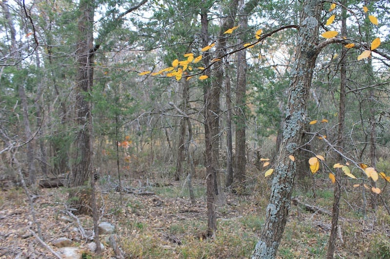 Indian Ridge – Phase I Tract 23 photo 6