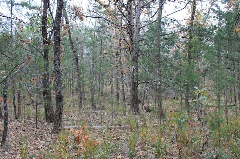 Indian Ridge – Phase I Tract 23 photo 7