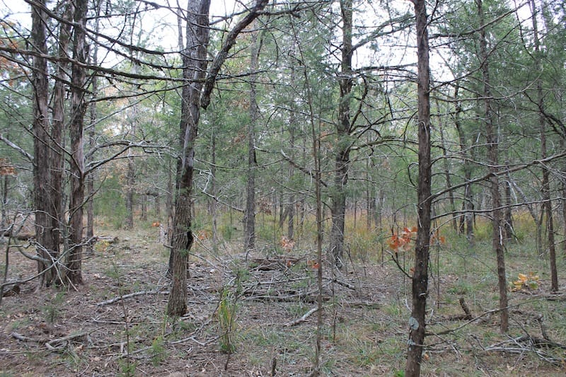 Indian Ridge – Phase I Tract 23 photo 8