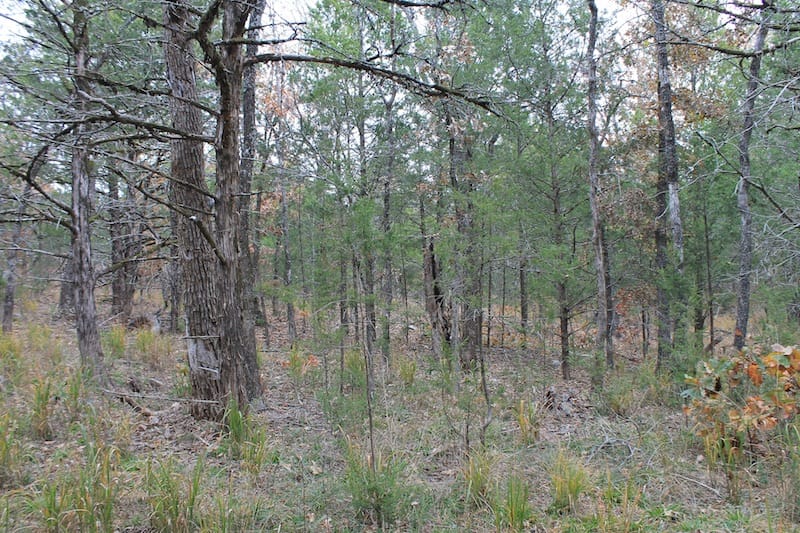 Indian Ridge – Phase I Tract 23 photo 9