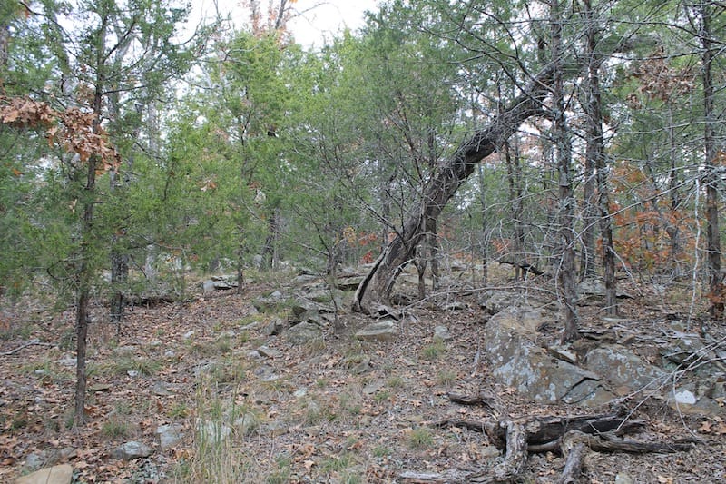 Indian Ridge – Phase I Tract 23 photo 10