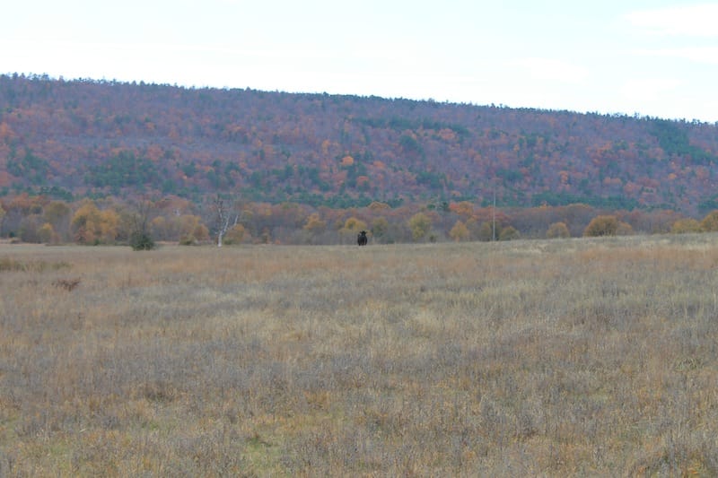 Indian Ridge – Phase I Tract 23 photo 11