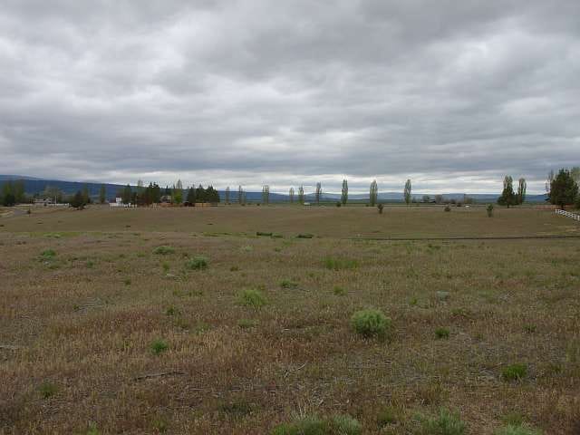 California Pines Tract 60 photo 7