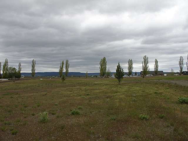 California Pines Tract 60 photo 14
